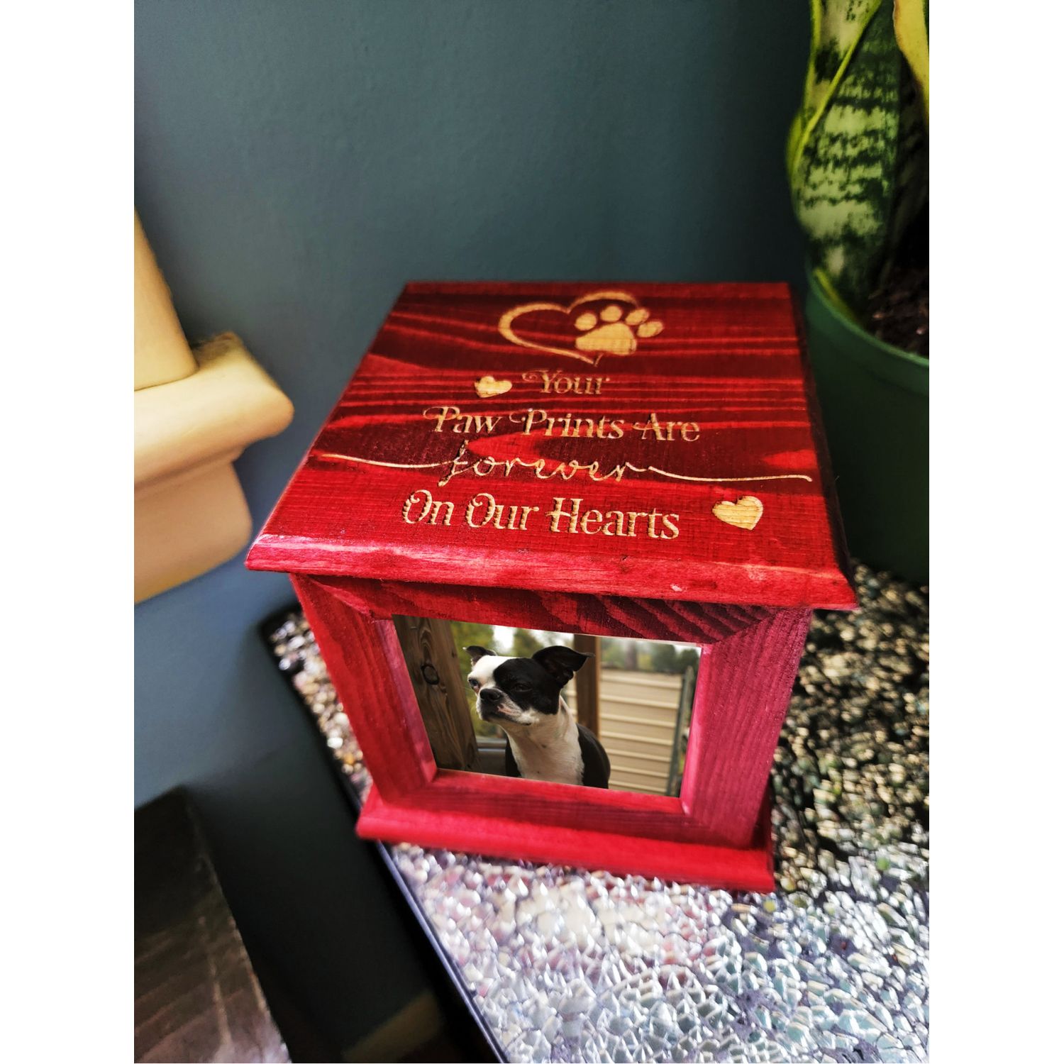 Pet Urn Memorial for Cremation Ashes | Cat Urn & Dog Urn Laser-Engraved ❤️