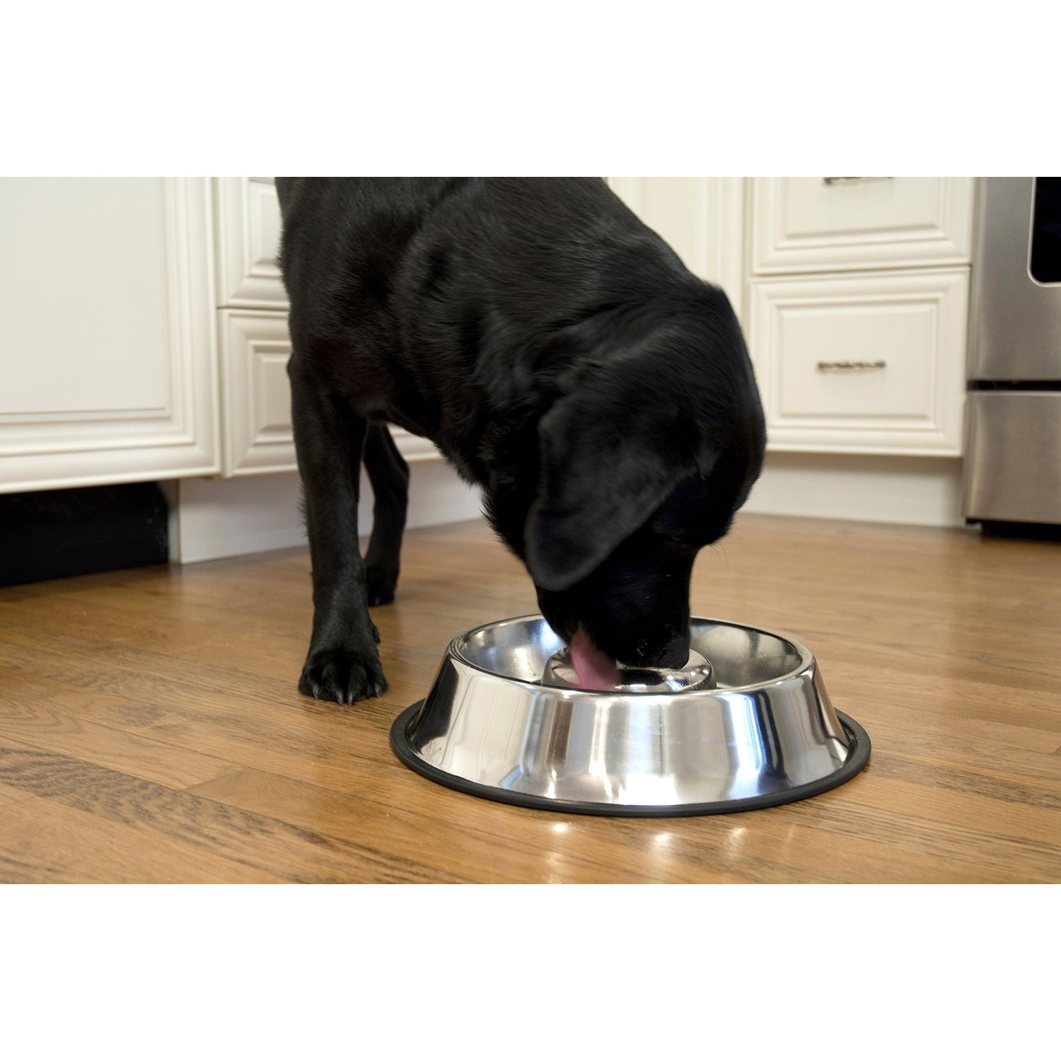 Iconic Pet Set of 2 Stainless Steel Non-Skid Slow Feed Bowls for Medium Dogs (24 oz) - Ideal for Food and Water, Durable Design with Raised Center