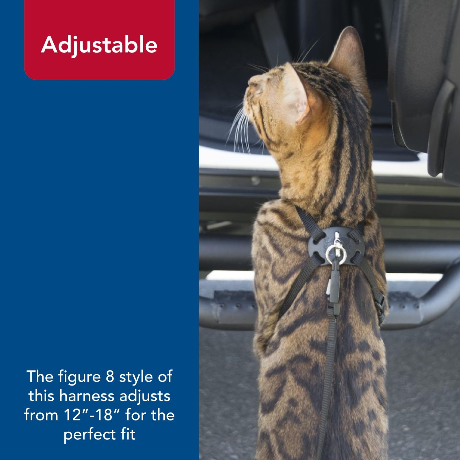 Coastal Pet Size Right Snag-Proof Adjustable Cat Harness - Comfortable Harness for Cats - Adjustable - Quality Pet Supplies - Medium & Small - Blue, 3/8" x 12-18"