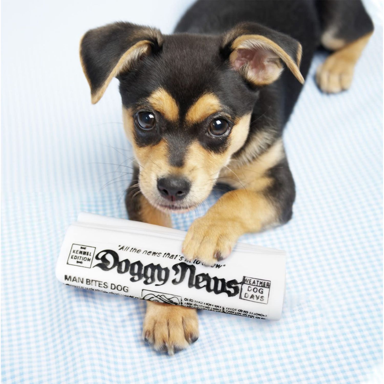 GabeFish 2 PCS Newspaper Dog Toy, 6.2 x 2.1-in (16 x 6.5 cm), Funny Chew Toys for Dogs, Teething Chew Toys for Dog