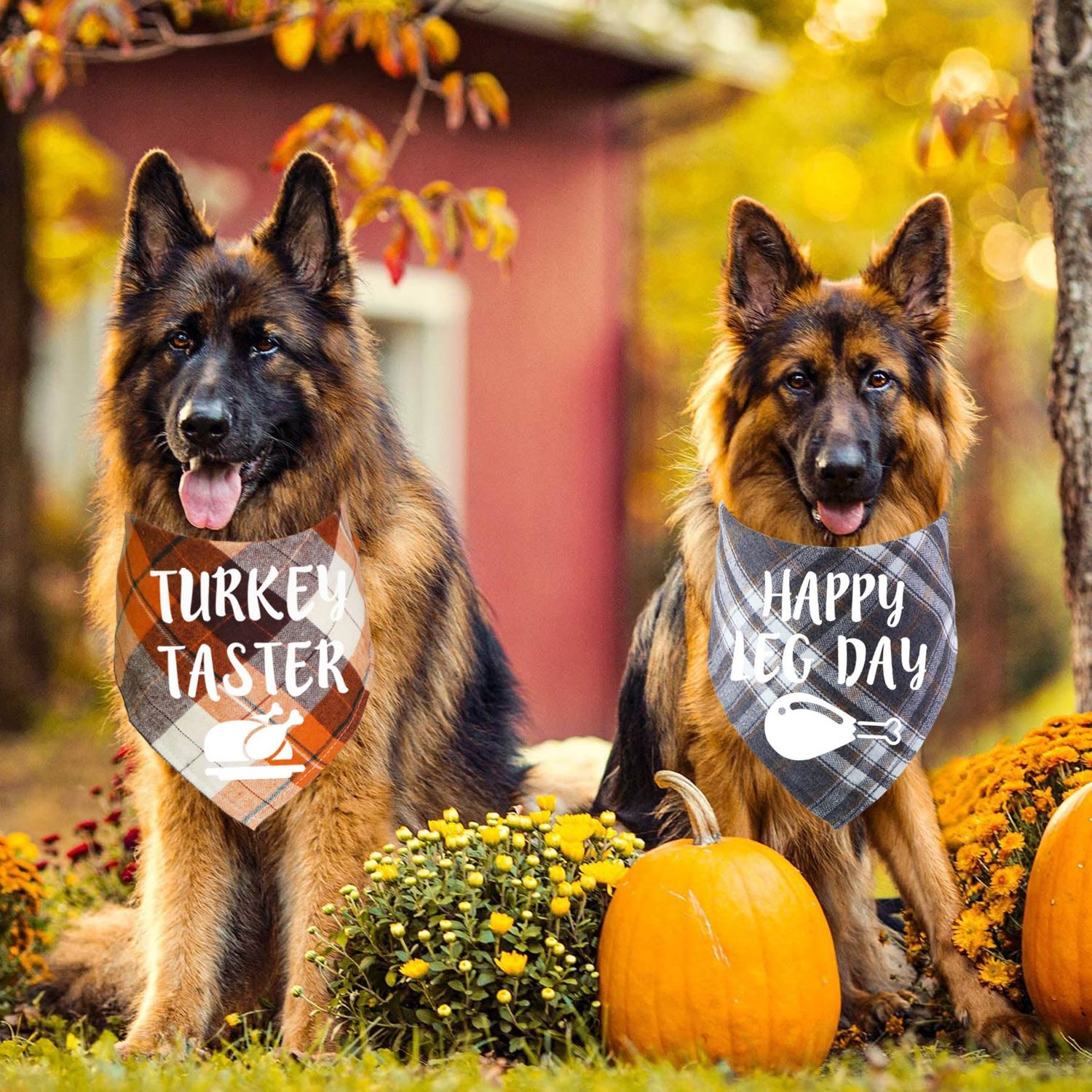 STMK 2 Pack Thanksgiving Day Dog Bandanas, Dog Holiday Fall Thanksgiving Bandanas Scarf for Small Medium Large Dogs (Large, Happy Leg Day & Turkey Taster)