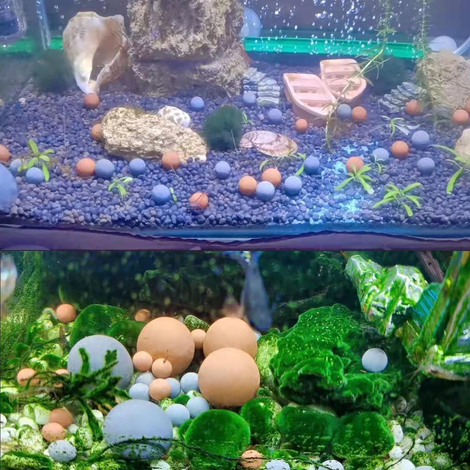 Tourmaline Balls for Freshwater Aquarium Tank. Mineral Supplement Substrate. Shrimp Mineral Freshwater Fish Tank. Snail,Betta,Goldfish,Live Shrimp Food