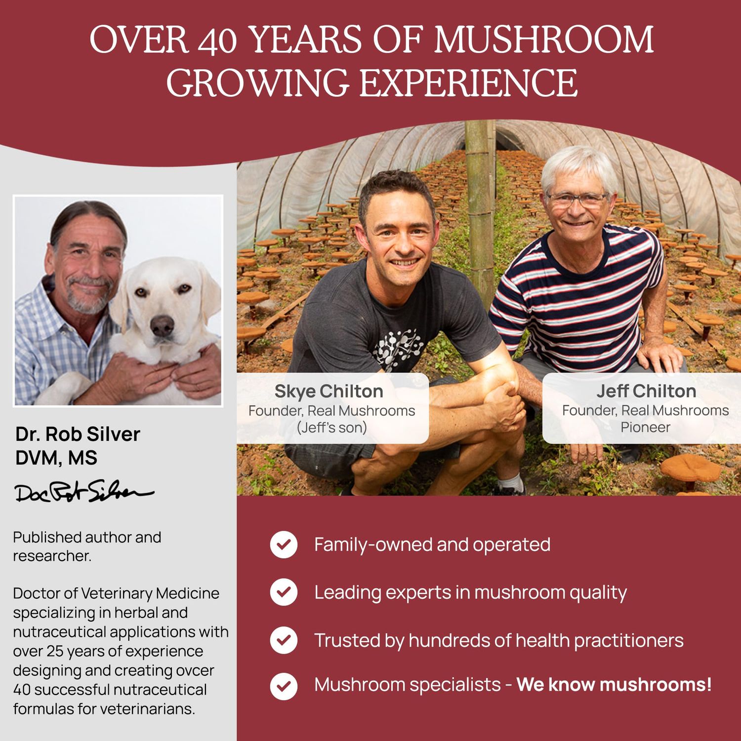 Real Mushrooms Calming Chews for Dogs - Cat Dog Treats w Reishi Lions Mane, Dogs, Relaxation, Bites Pet, 60ct