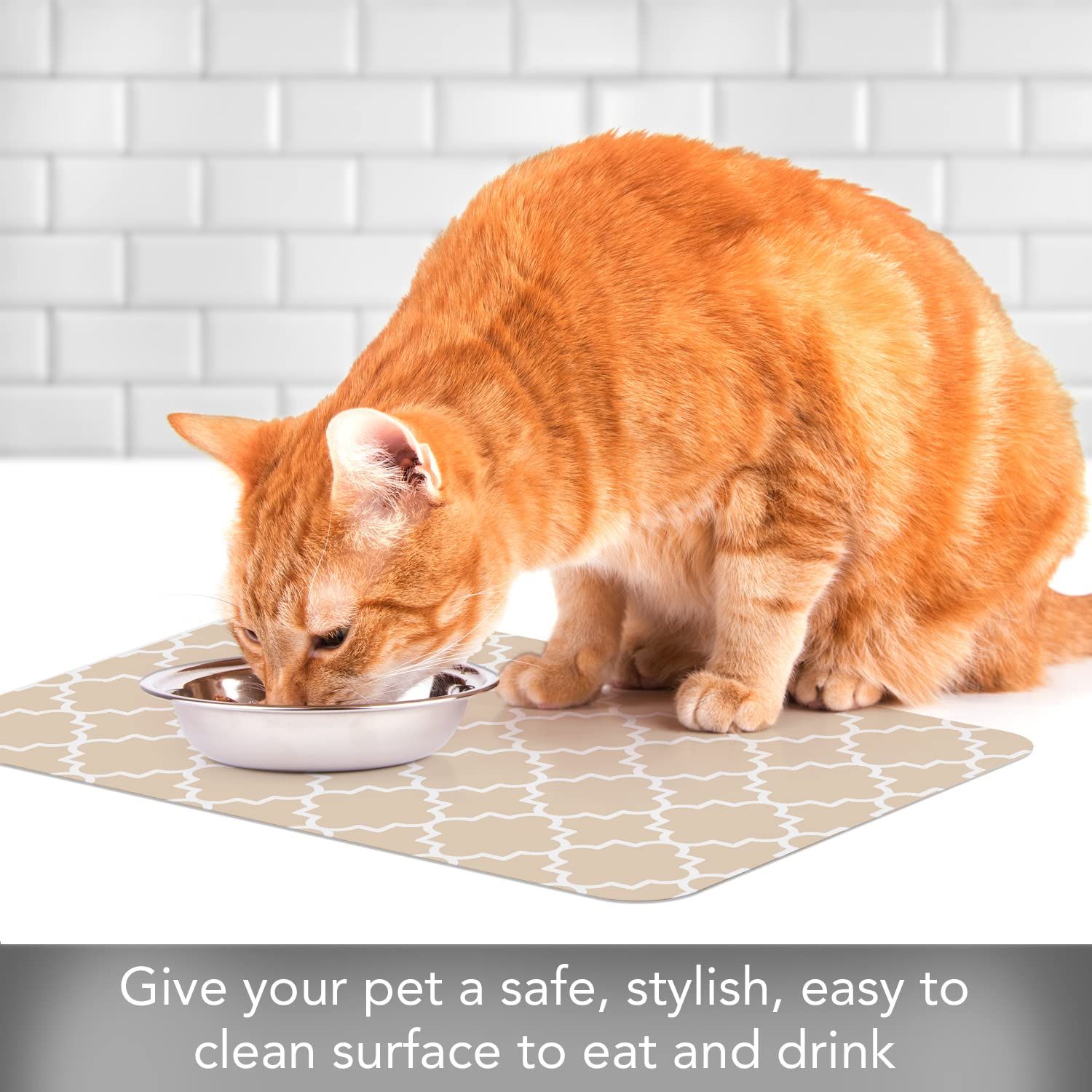 CounterArt Quatrefoil Easy Care Waterproof Pet Placemat 17.13” x 11.25” Made in The USA of BPA Free Plastic, Safe for Pets, Protects Floors from Cat & Dog Bowls
