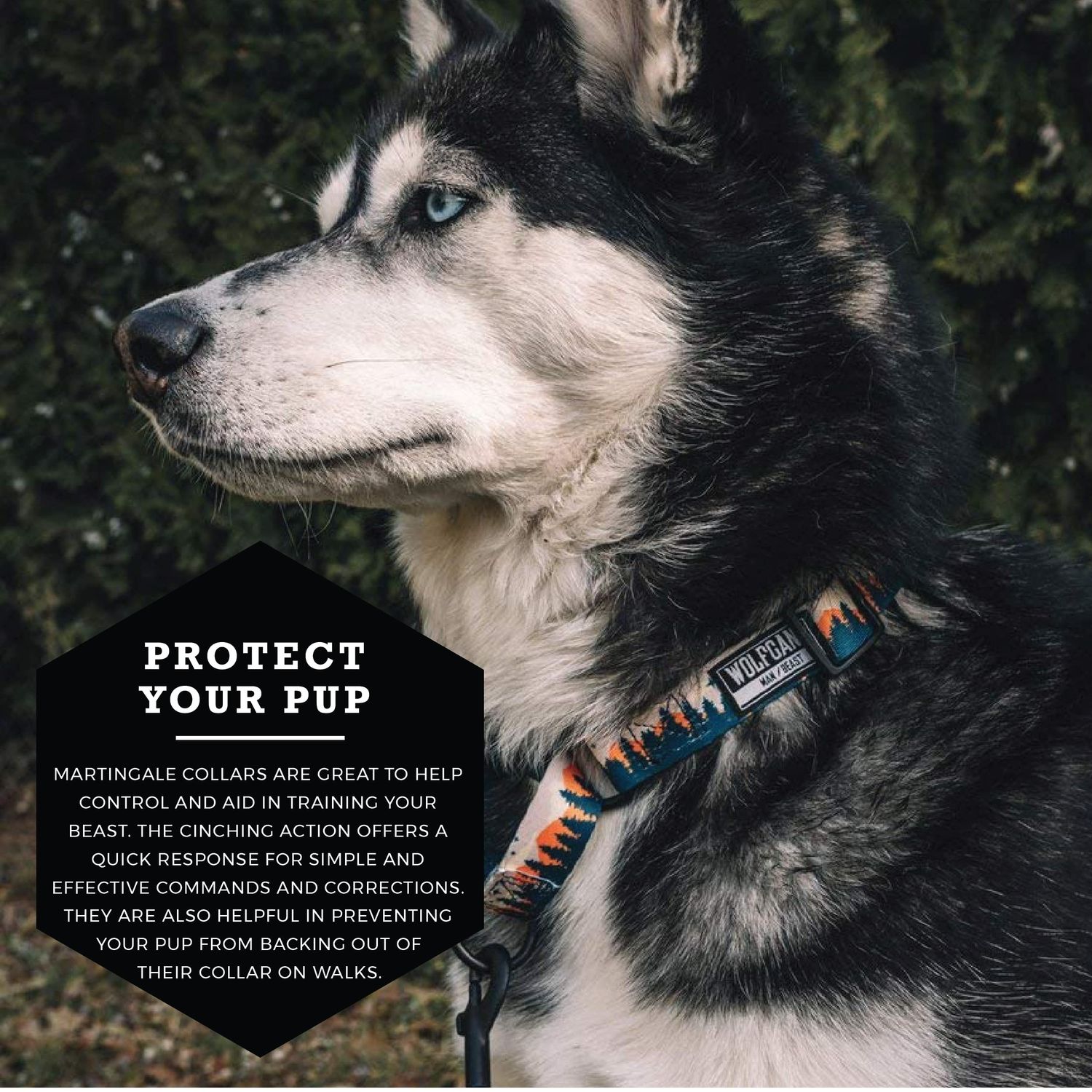 Wolfgang Premium Martingale Dog Collar for Small Medium Large Dogs, Made in USA, Overland Print, Medium (1 Inch x 14-18 Inch)