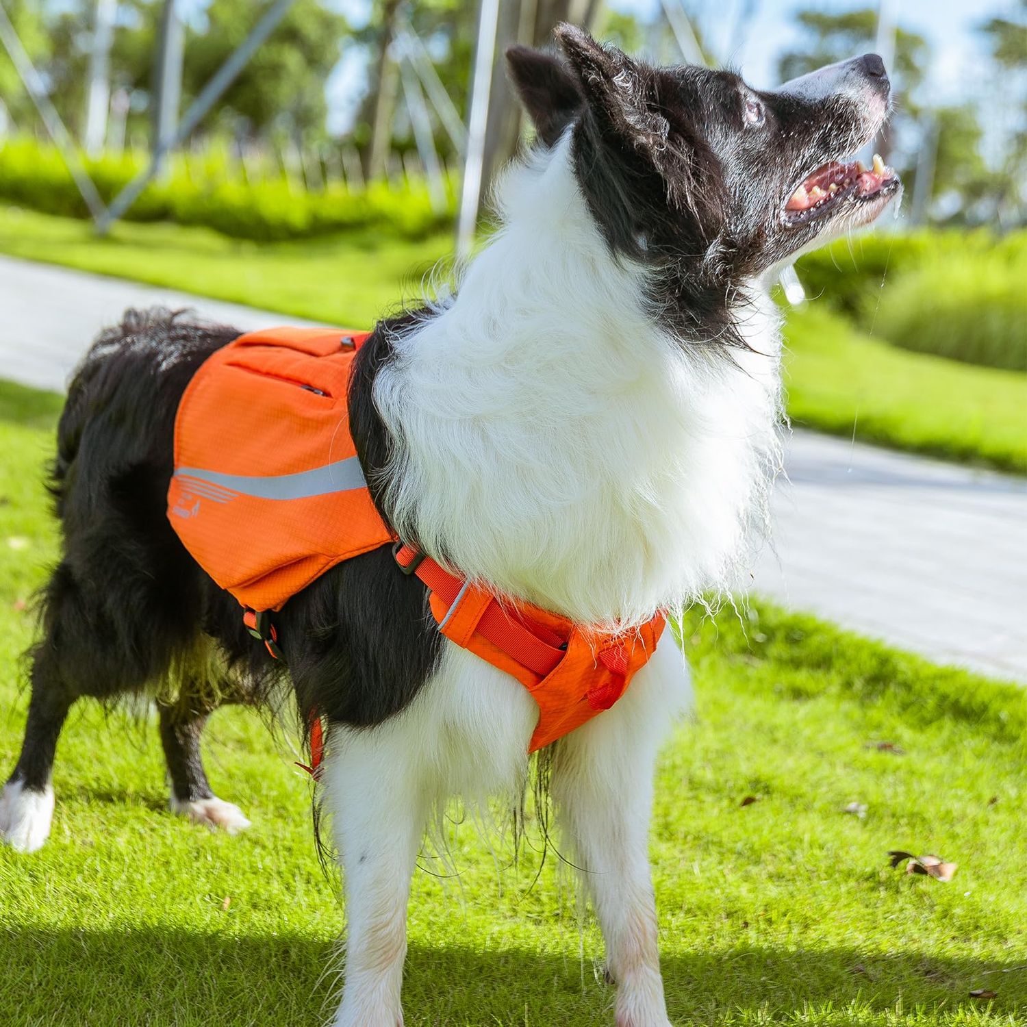 EXCELLENT ELITE SPANKER Y-Shaped Reflective Dog Backpack with Handle Pockets No Pull D-Rings Lightweight Hiking Gear for Dogs Hunting Camping Travel (Purple)