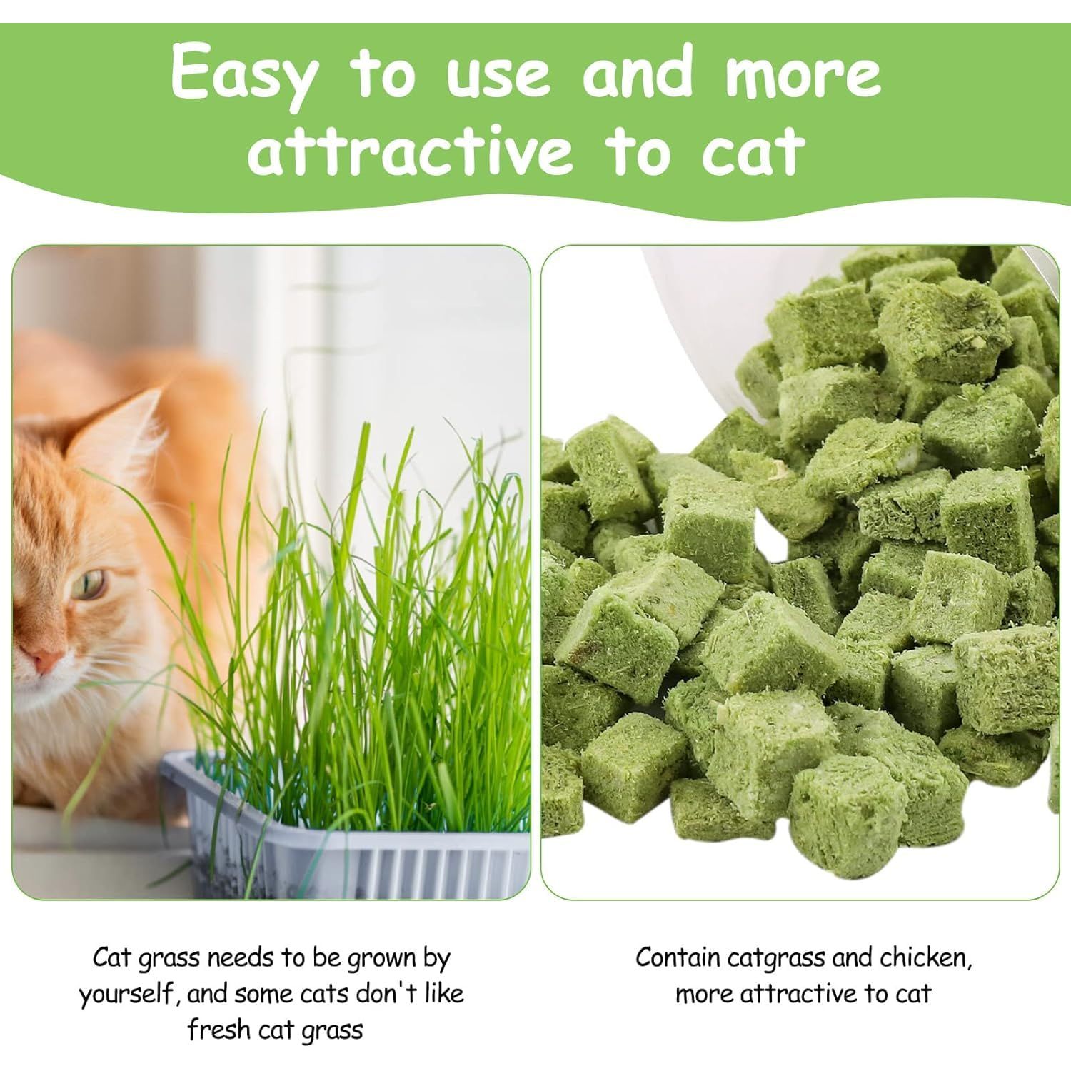 HavenJanny 60g Cat Grass Treats for Cat, Freezed Drying Cat Grass Teething Stick Snacks for Cats, Edible Cat Chew Toys for Teeth Cleaning and Hairball Removal