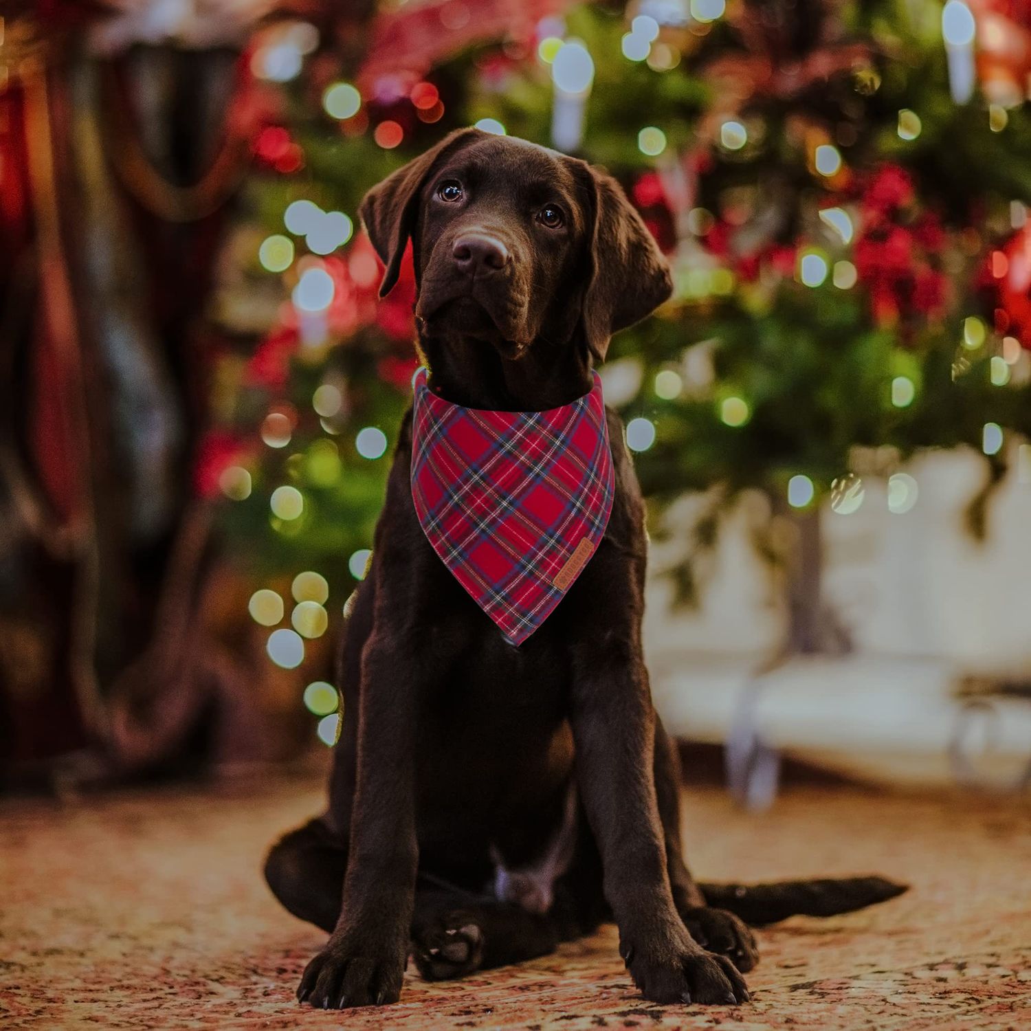 ADOGGYGO Christmas Dog Bandana 2 Pack, Stylish Plaid Dog Scarf, Premium Cotton Fabric, Multiple Sizes Offered, Christmas Bandanas for Medium Large Dogs Pets (Large, Christmas)