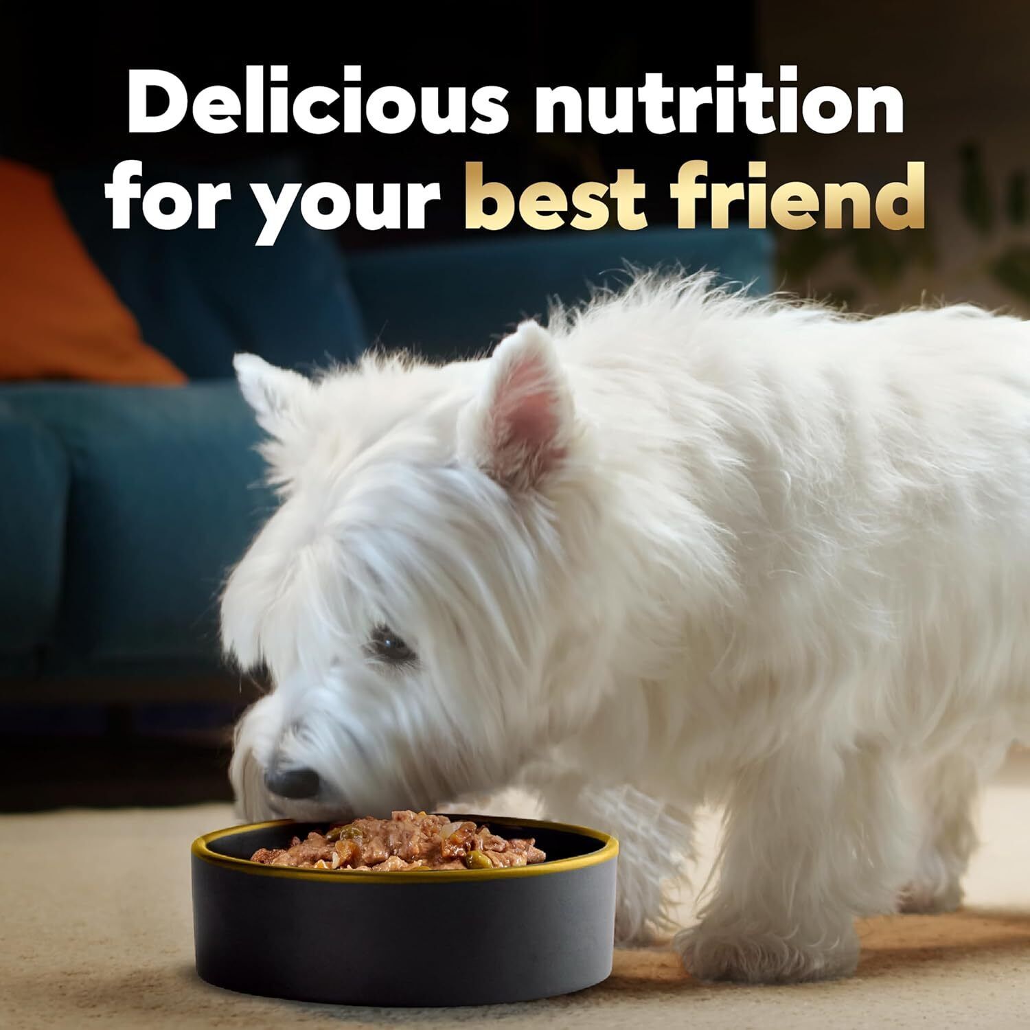 CESAR HOME DELIGHTS Soft Wet Dog Food Hearty Chicken & Noodle Dinner in Sauce,