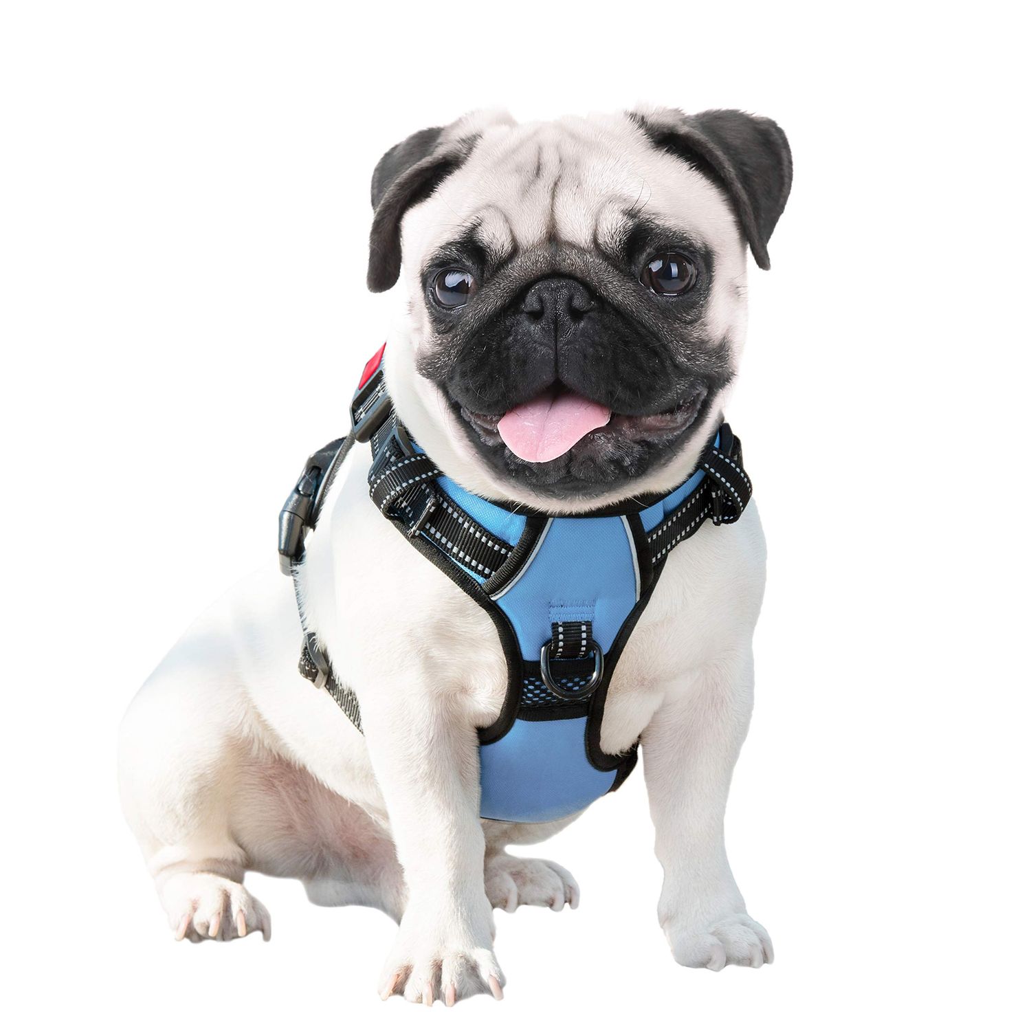 PHOEPET No Pull Dog Harness Reflective Adjustable Vest with a Training Handle, Name ID Pocket, 2 Metal Leash Hooks, 3 Snap Buckles [Easy to Put on & Take Off](S, Baby Blue)