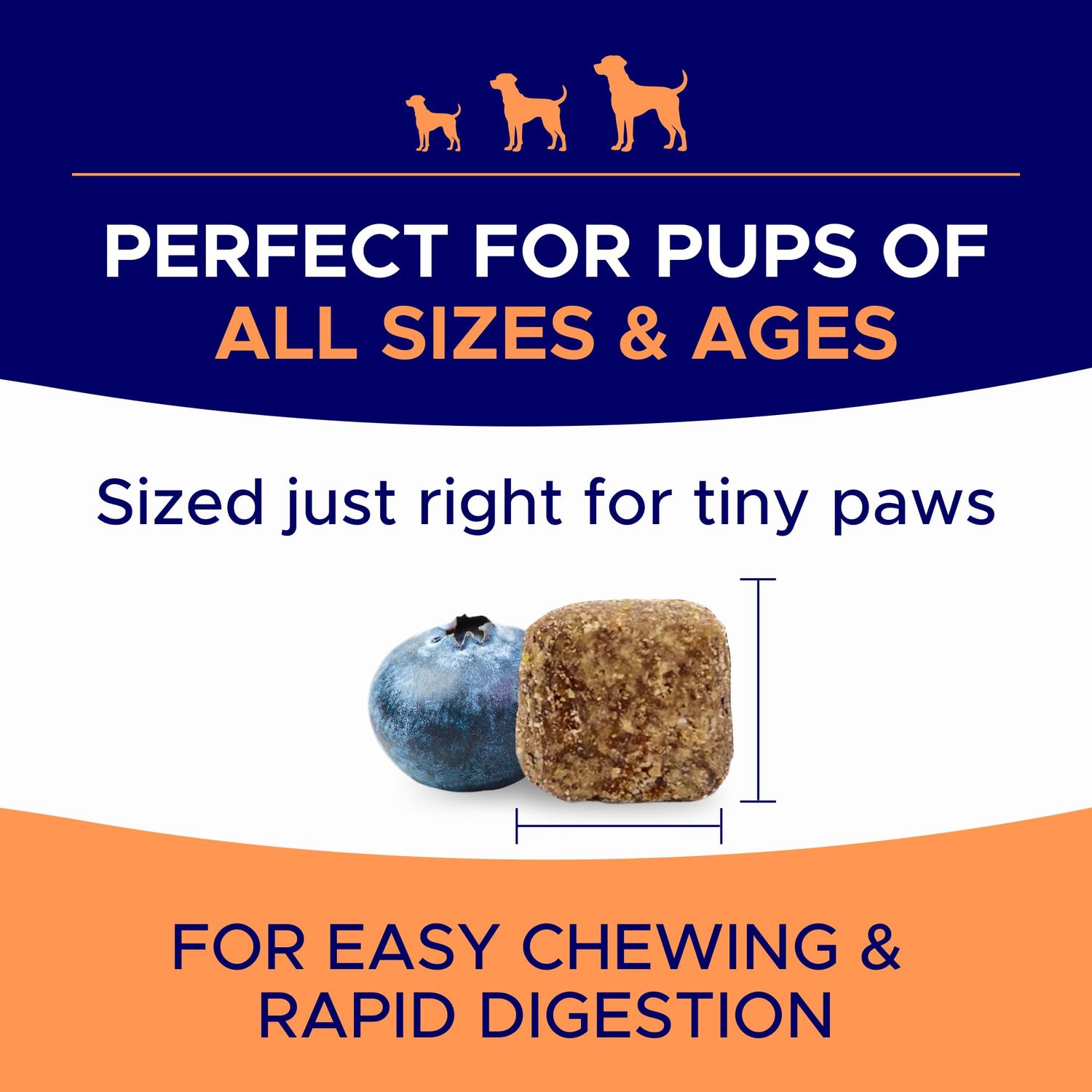 Dog Allergy Relief Chews — Anti-Itch Skin & Coat Supplement: No Fillers, Just Flavor - Dry Itchy Skin Relief Treatment w/Omega 3 Fish Oil - Itching&Paw Licking - Hot Spots - Made in USA - 180Ct
