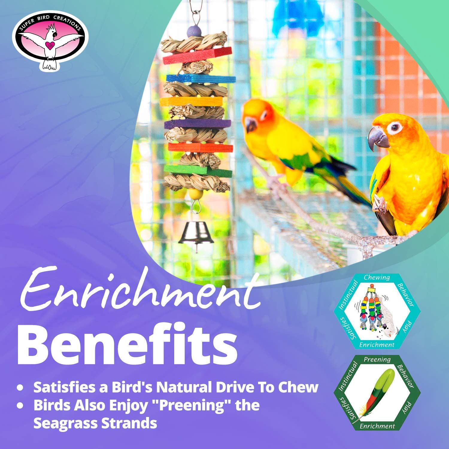 Super Bird Creations SB51095 - Seagrass Wafers Bird Toy for Medium Sized Birds, Ideal for Parrots, Conures, Cockatiels, Lovebirds, Budgies - Natural Chew Toy, Bird Cage Accessories - 9" x 2.5" x 1.5"