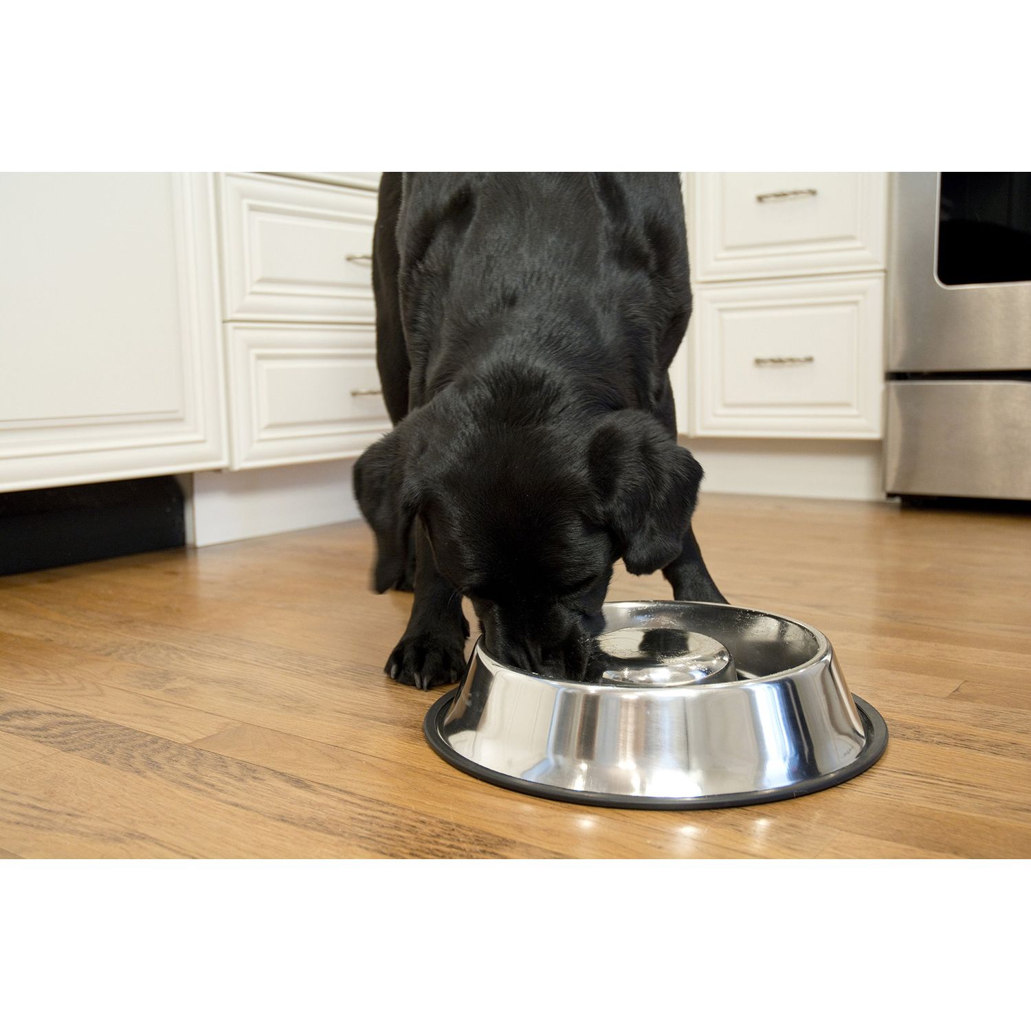 Iconic Pet Set of 2 Stainless Steel Non-Skid Slow Feed Bowls for Medium Dogs (24 oz) - Ideal for Food and Water, Durable Design with Raised Center