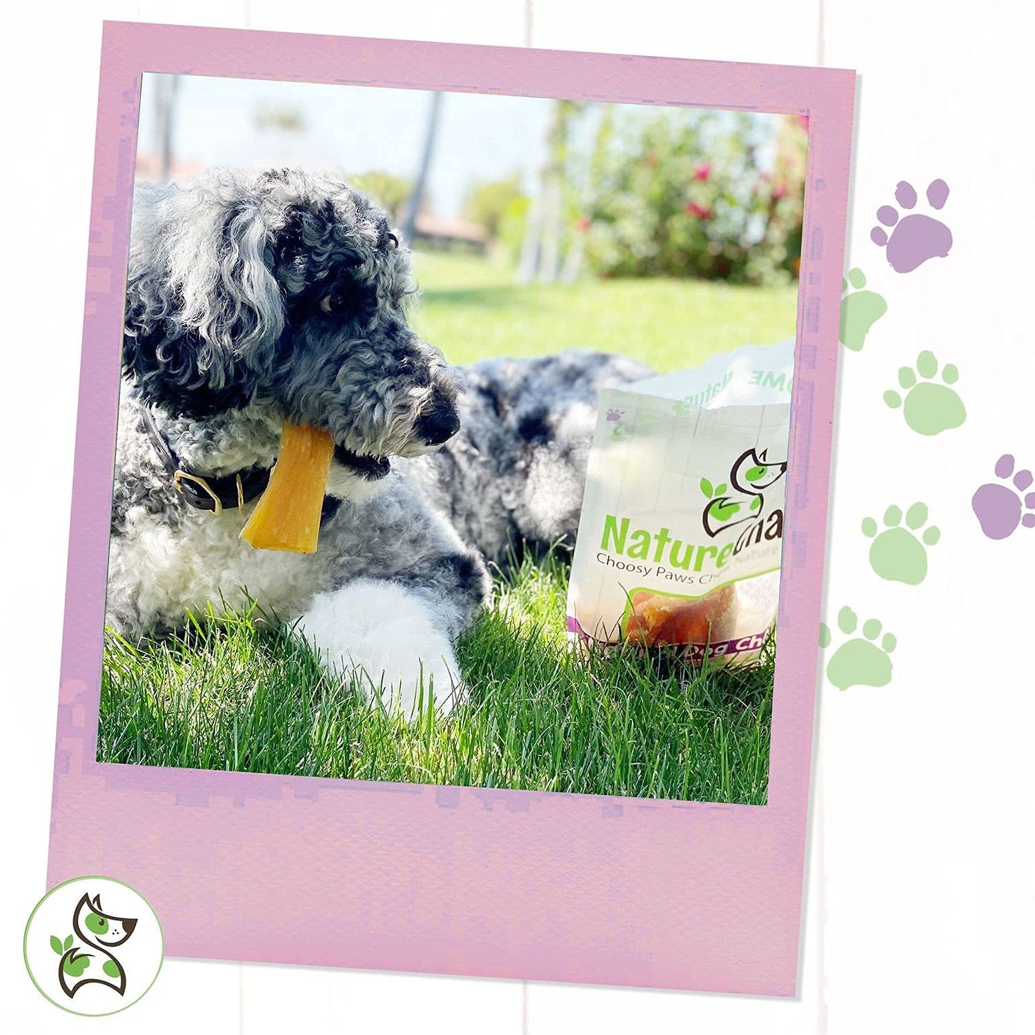 Nature Gnaws Paddywack Tendons for Dogs - Premium Natural Beef Dental Bones - Long Lasting Dog Chew Treats for Medium & Large Dogs - Rawhide Free 5-7 inch
