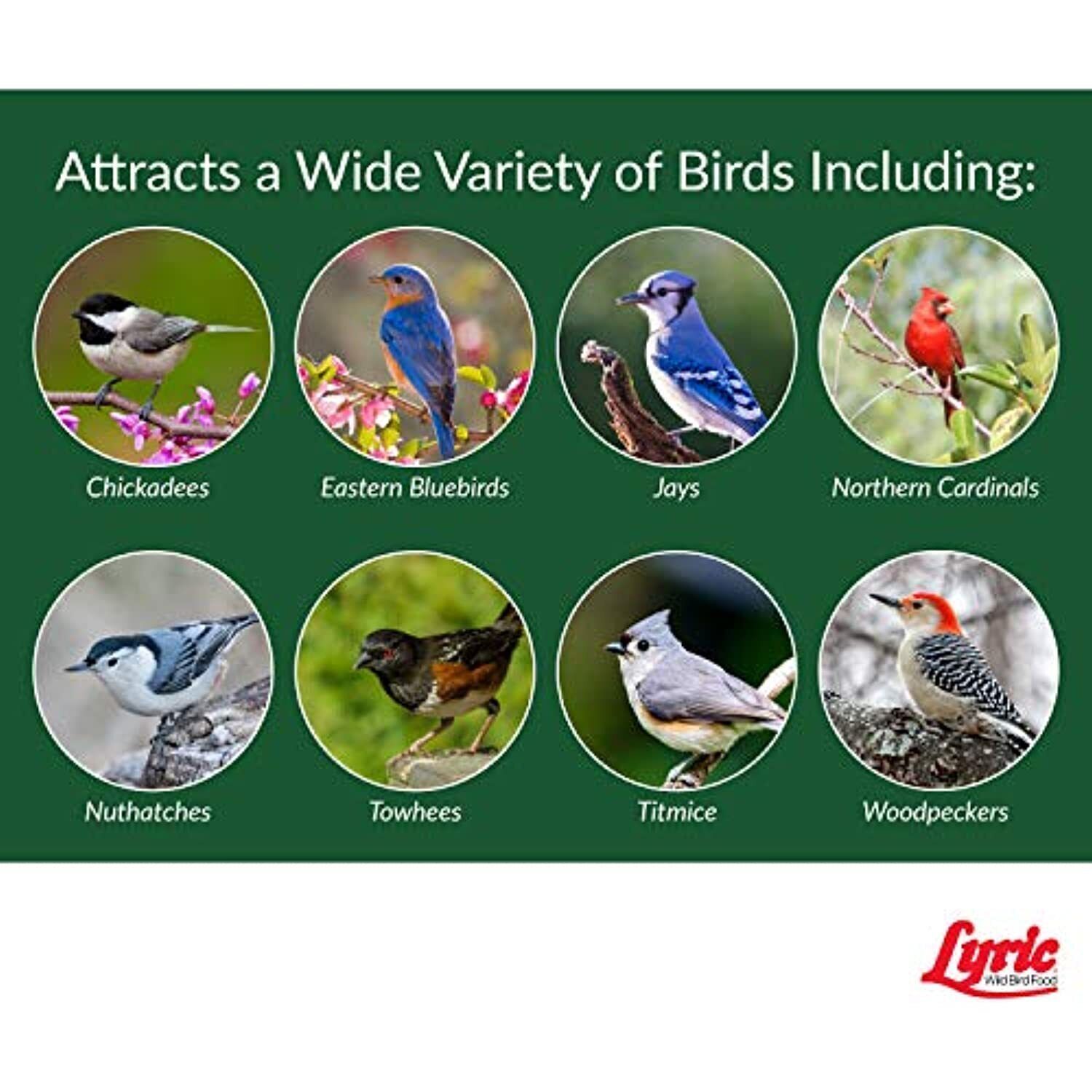 Lyric 2647464 Peanut Pieces Wild Bird Food, 5 lb