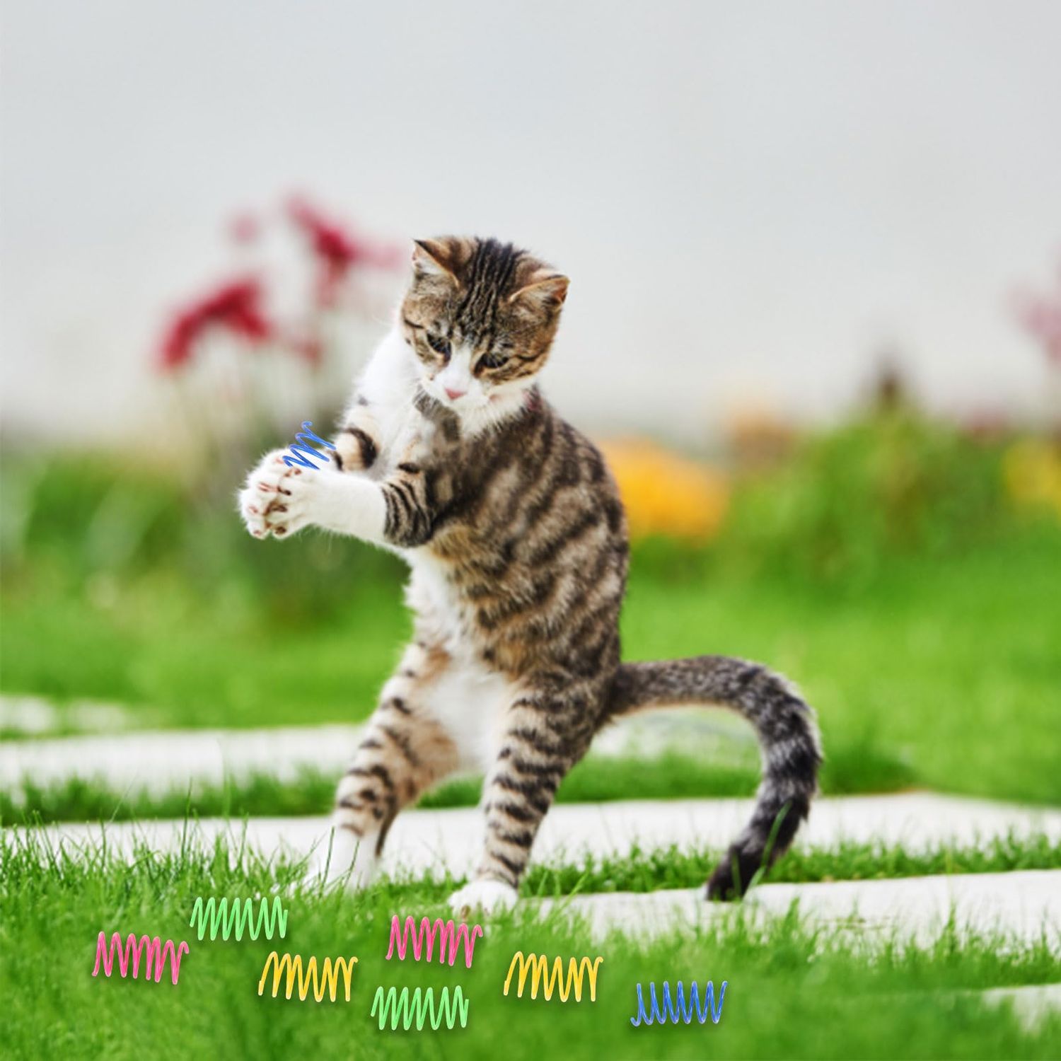KIMOBER 32PCS Cat Spiral Spring,Colorful Plastic Cat Creative Toy Interactive Cat Toy Spiral Springs for Indoor Cats Kittens to Swat, Bite, Hunt Kitten Toys