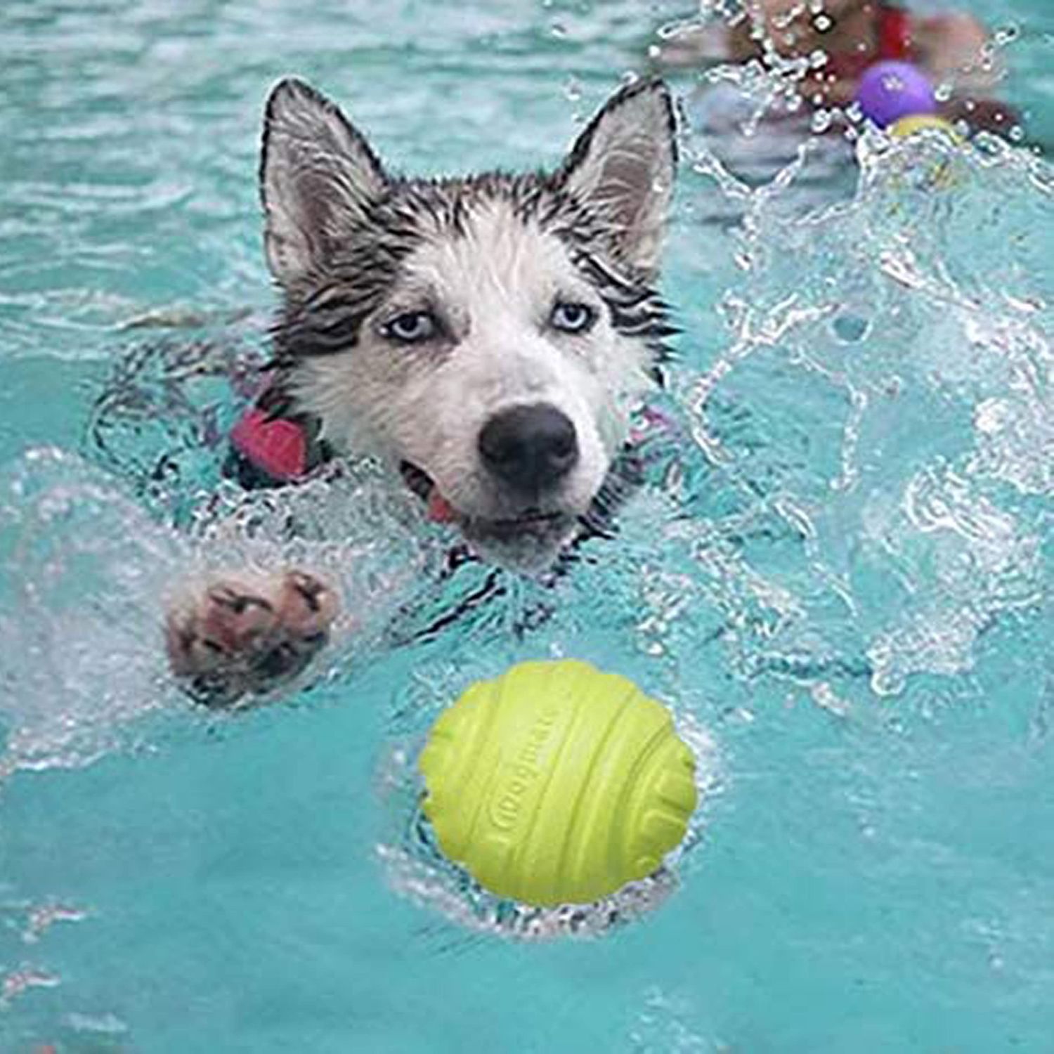 IDOGMATE iDogmate2.5 Durable Balls for Dogs, Ball Dog Toy Big Launcher, Dog Balls,Durable, Washable (3pcs)