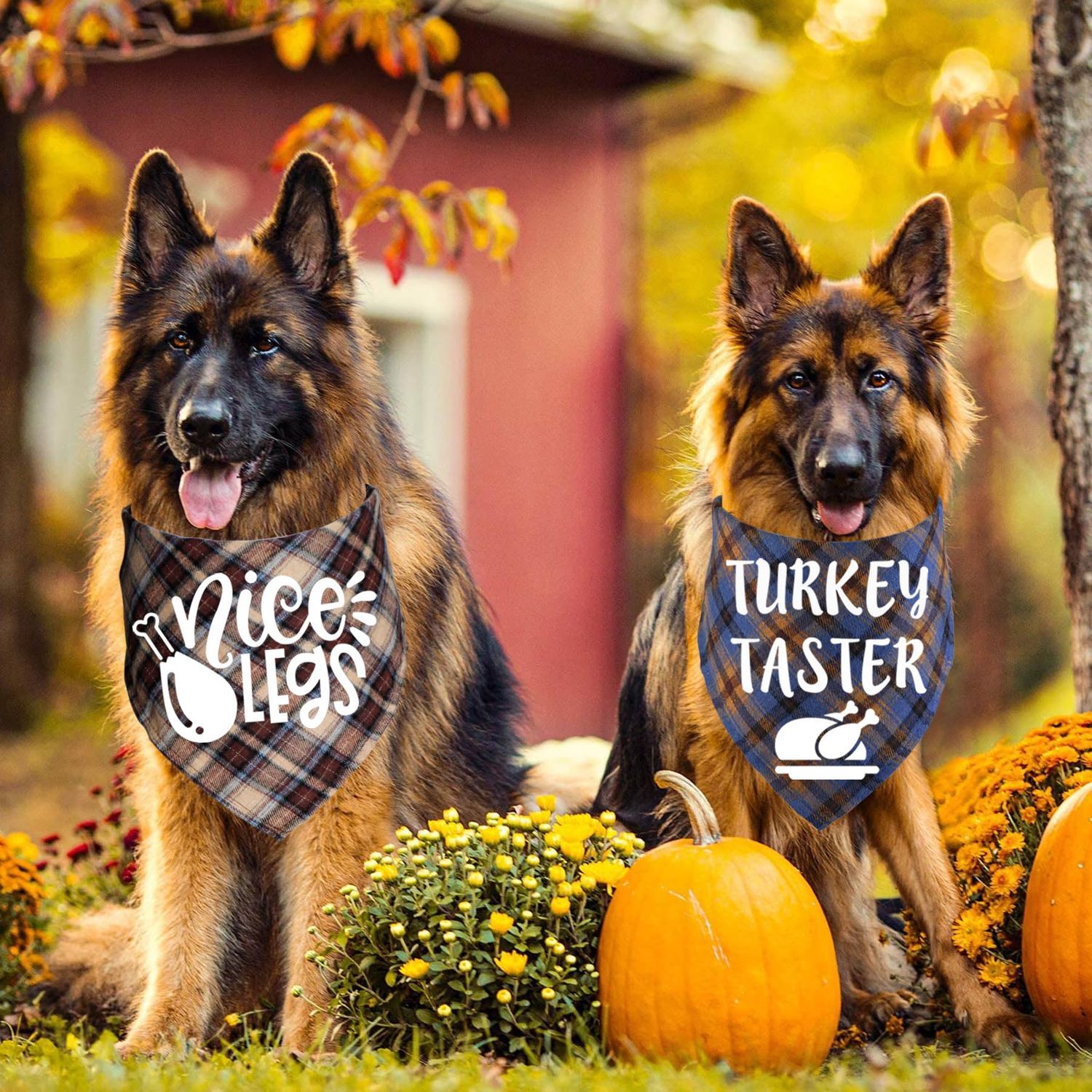 STMK 3 Pack Thanksgiving Day Dog Bandanas, Holiday Fall Thanksgiving Dog Bandanas Scarf for Small Medium Large Dogs (Large)