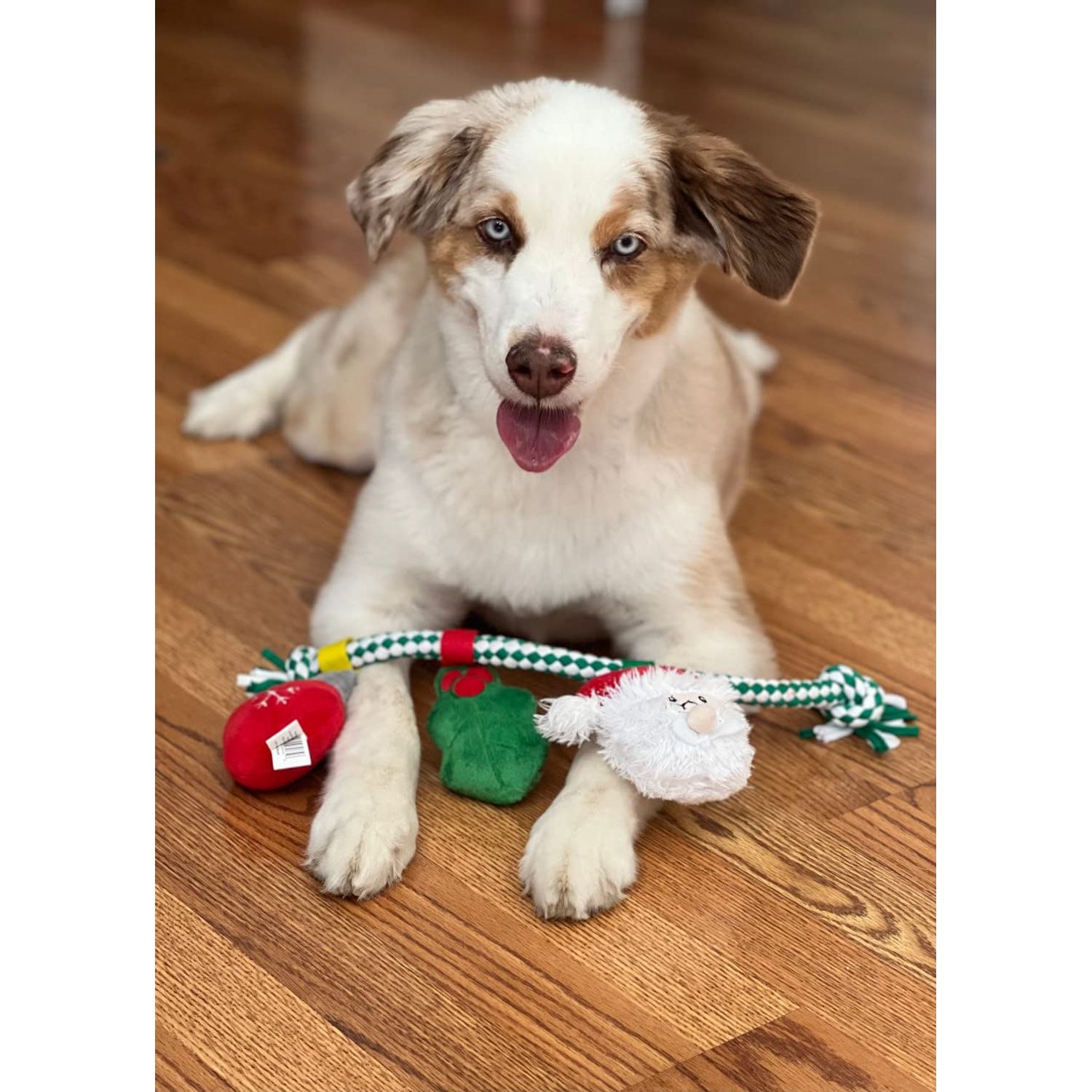 Glory To Dog Christmas Ornament Rope Dog Toy Fun Plush Dog Chew Toy, Squeaky Interactive Dog Toy for Puppy Small Medium Pets Dogs