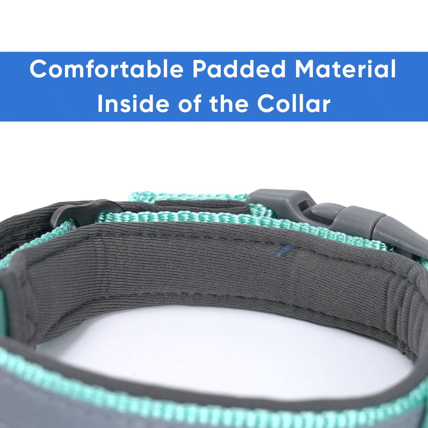 Pawtitas Lumberjack Padded Martingale Collar for Dogs | Soft Neoprene Dog Collar for Your pet's Comfort Made with Reflective Band for Maximum Visibility | Fits Small and Large Pets - Small Teal