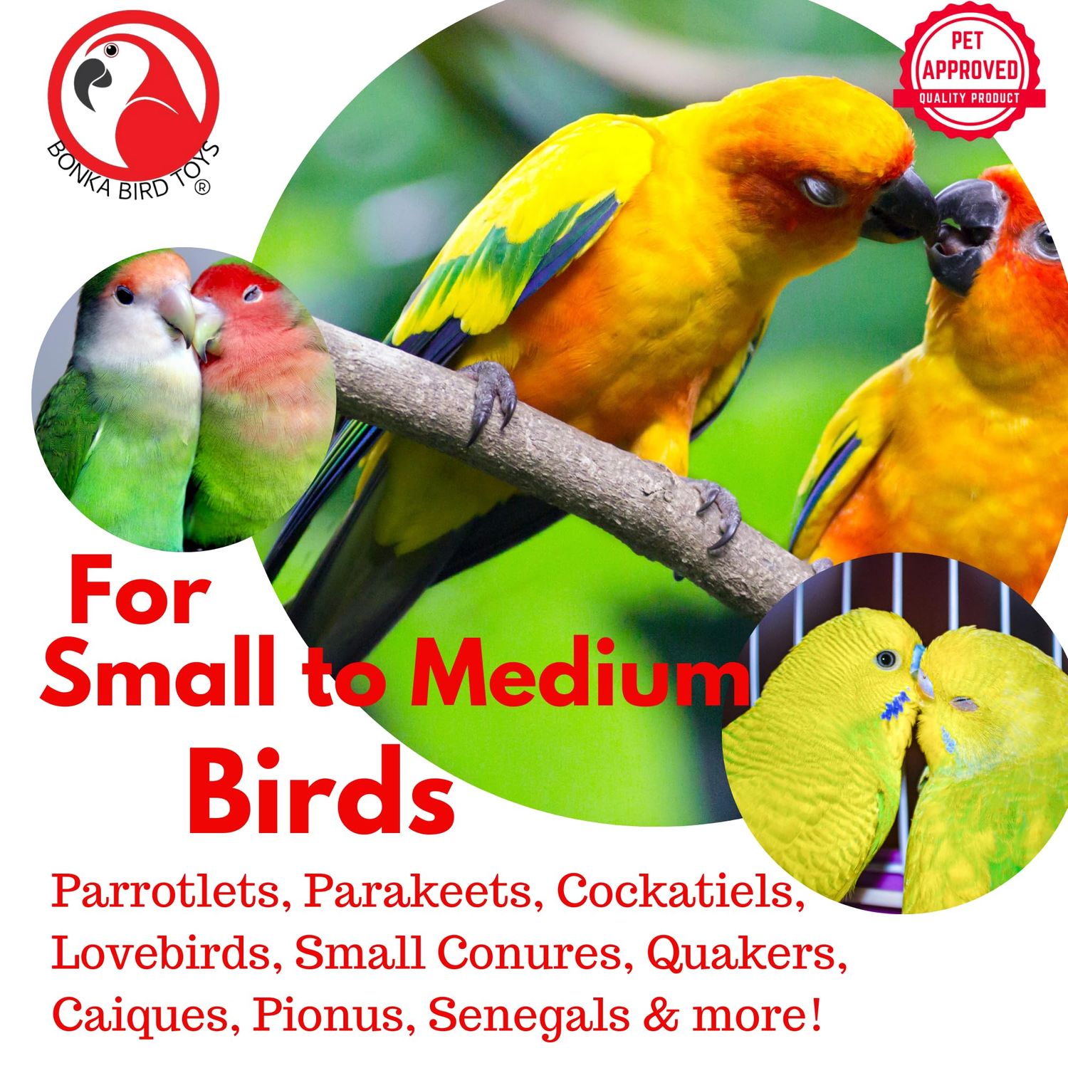 Bonka Bird Toys 3875 Take Out Small Medium Bird Toy Oyster Pail Treat Box Foraging Paper Chew Shred Cockatiel Parakeet Conures and Other Similar Birds