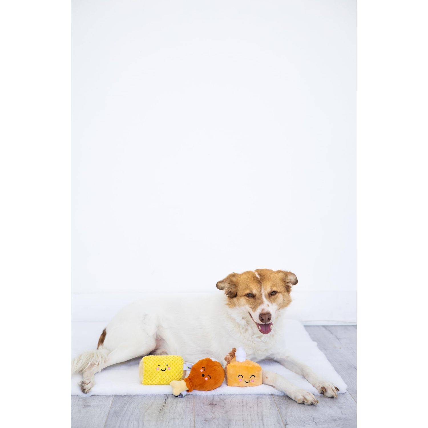 Pearhead Thanksgiving Dinner Dog Toys, Set of 3, Plush Dog Toys, Squeaky Dog Toy, Pumpkin Pie and Turkey Leg Toy, Fall Pet Toys