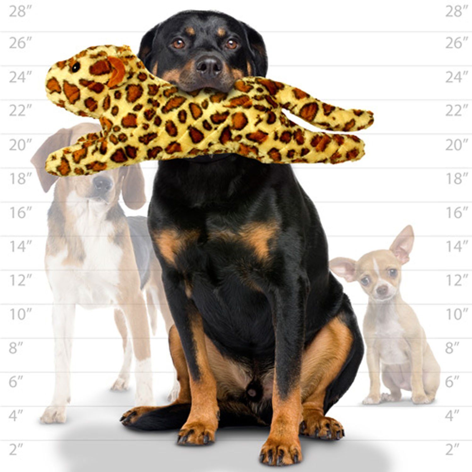 MIGHTY- Massive-Safari-Leopard- Squeaker-Multiple Layers. Made Durable, Strong & Tough. Interactive Play Dog Toy (Tug, Toss & Fetch). Machine Washable & Floats