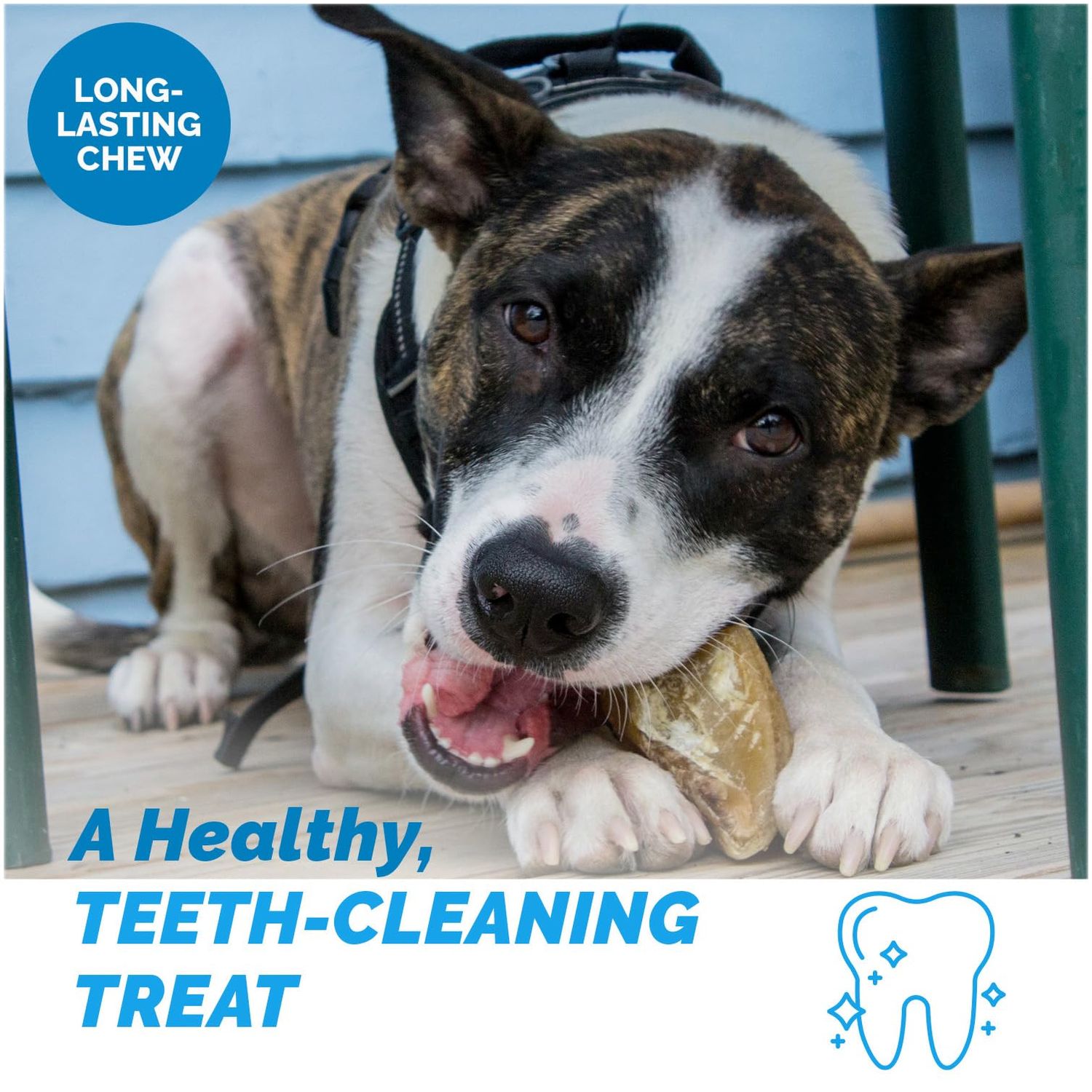 123 Treats | Hooves for Dogs (25 Count) | 100% Natural Long-Lasting Beef Dog Treats Made from Beef Hoof | from Free Range, Grass Fed Cattle with NO Additives, Coloring or Chemicals.