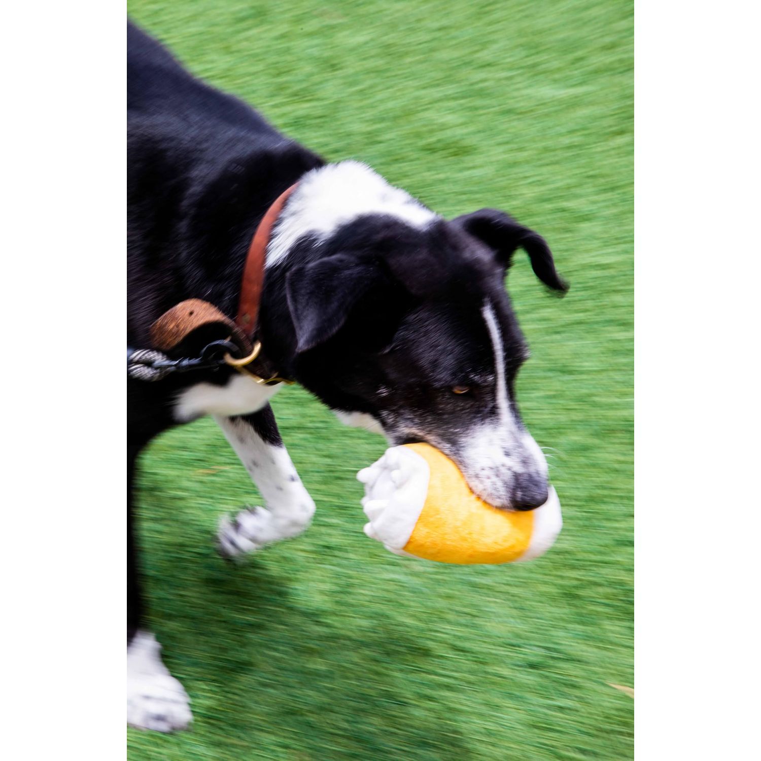 Glow Pups Plush Beer Dog Toy with Squeakerr (Beer Glass)