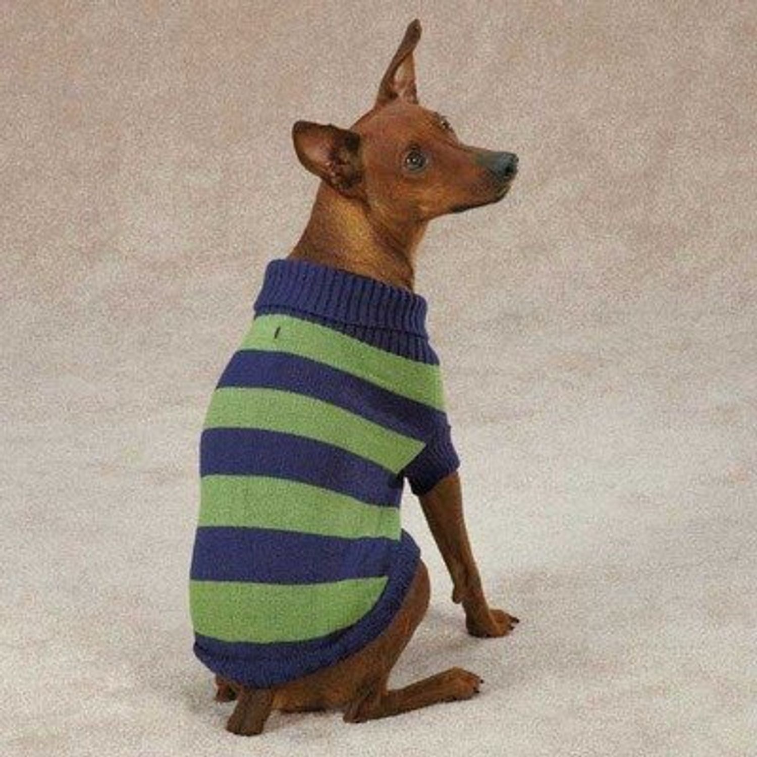 Casual Canine Rugby Dog Sweater Color: Green, Size: X-Small (10" H x 8.5" W x 0.25" D)