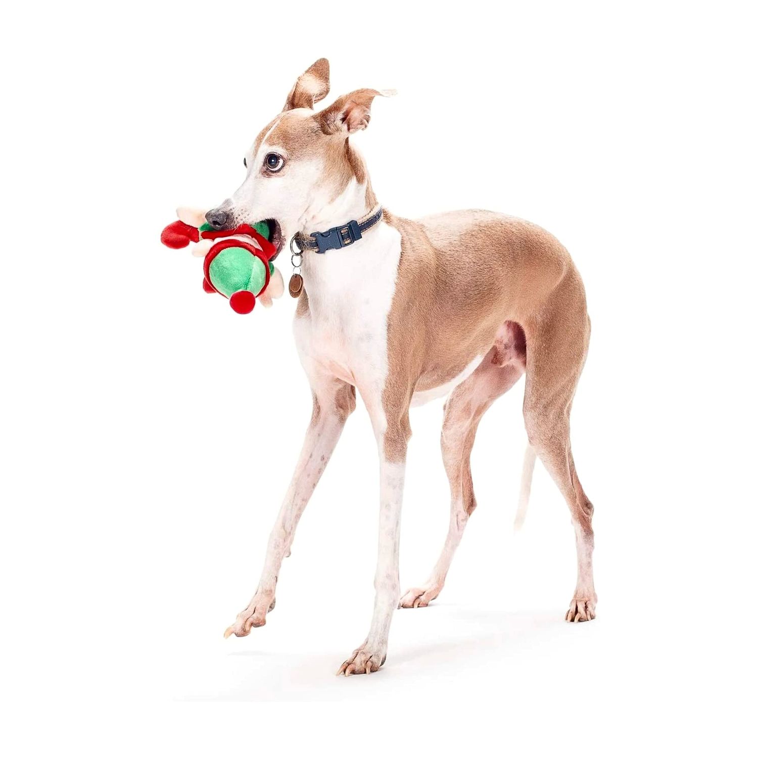 Midlee Christmas Elf Plush Dog Toy