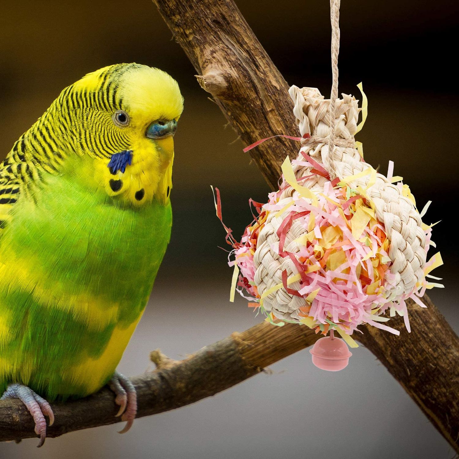 Oooct Colorful Bird Chewing Toy, Parrot Shredder Toy, Parrot Beak Grinding Toy with Bells, Bird Cage Accessories, Cage Toys for Cockatiels Parakeet Parrot Budgies Rat Hamster Chinchilla African Grey