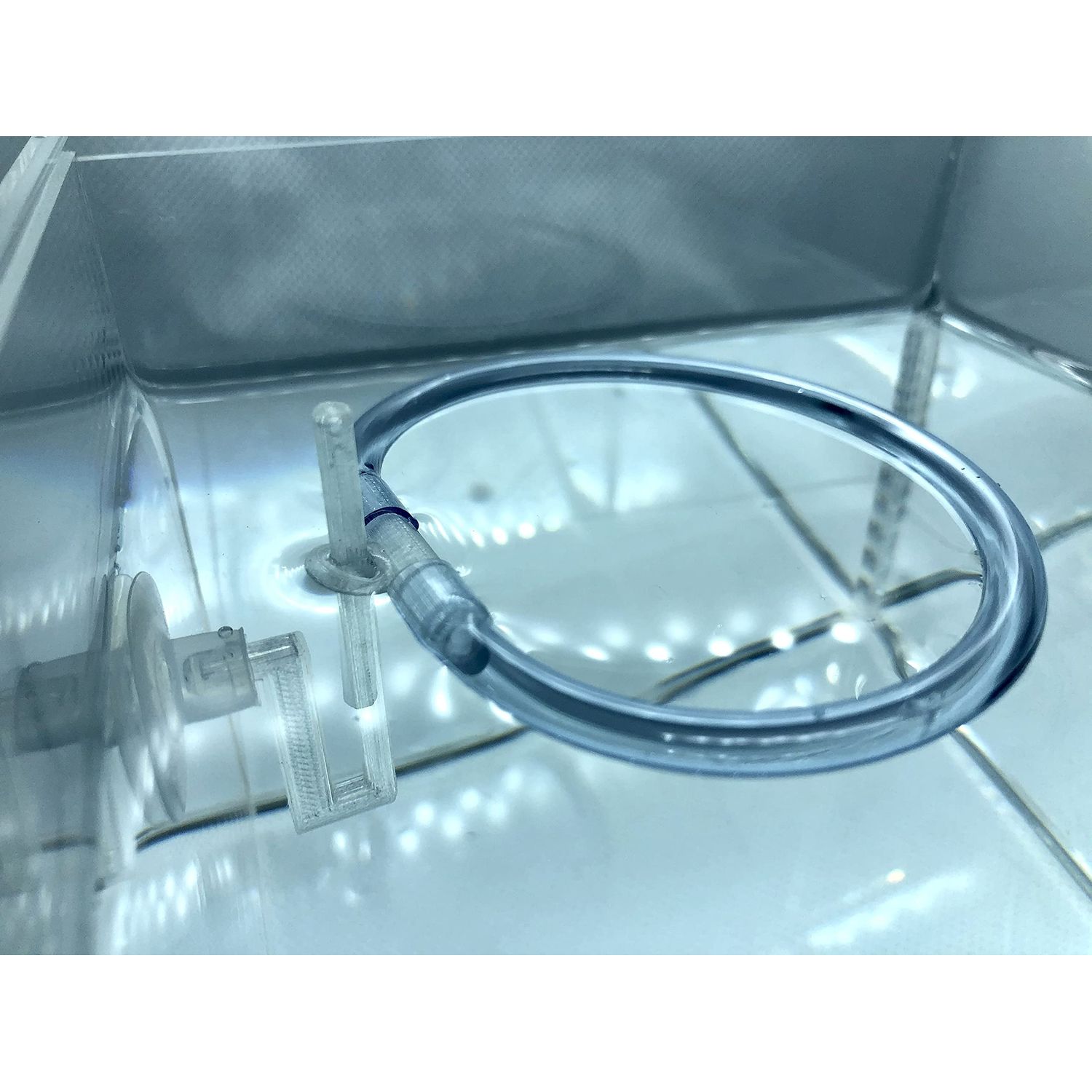 Invisible Feeding Ring (Customizable and Auto-Leveling) Food Portal for Floating Plant Aquariums and Fish Tanks (Two-Pack)