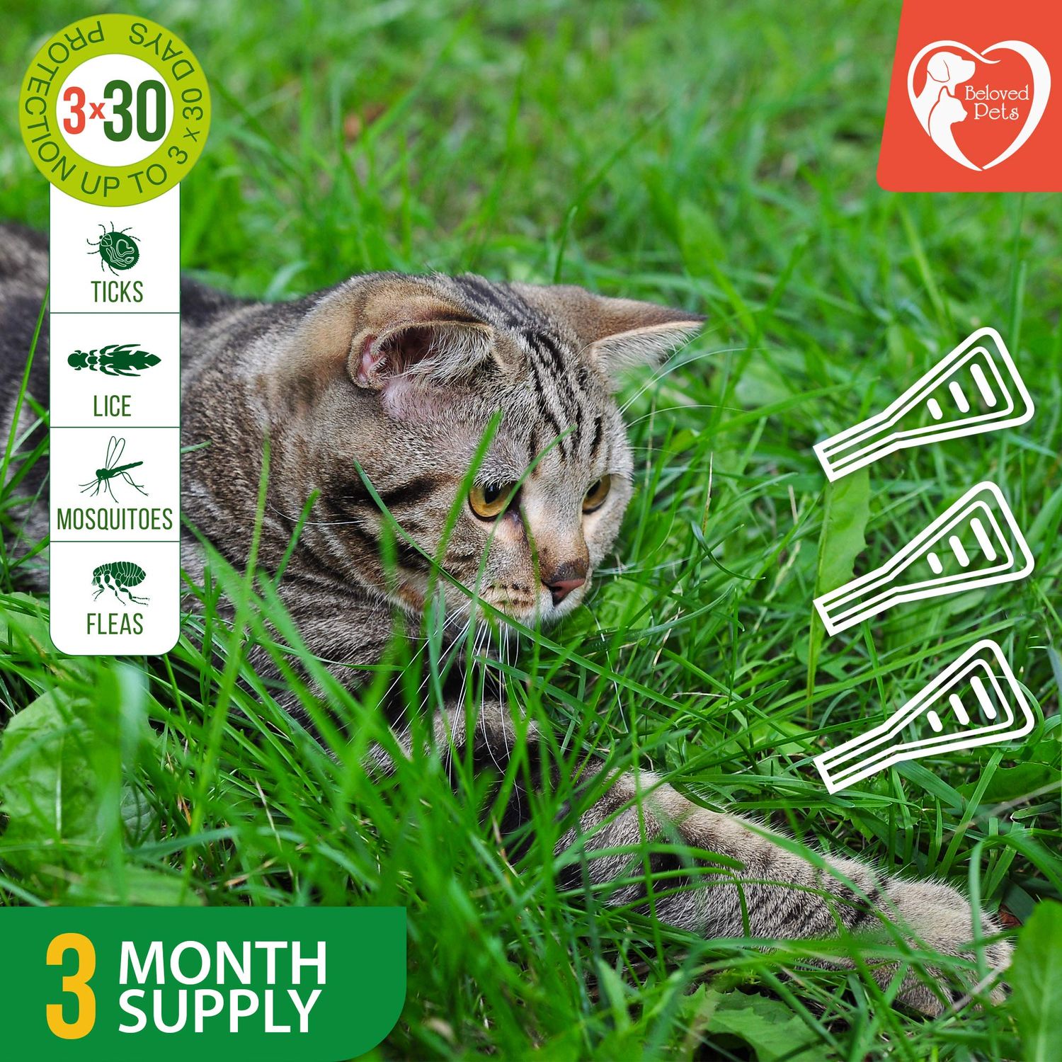 Flea and Tick Prevention for Small Dogs & Cats, Rabbits - Natural Flea Treatment & Pest Control - Topical Flea & Mosquito Repellent for Puppy and Kitten - All Pets