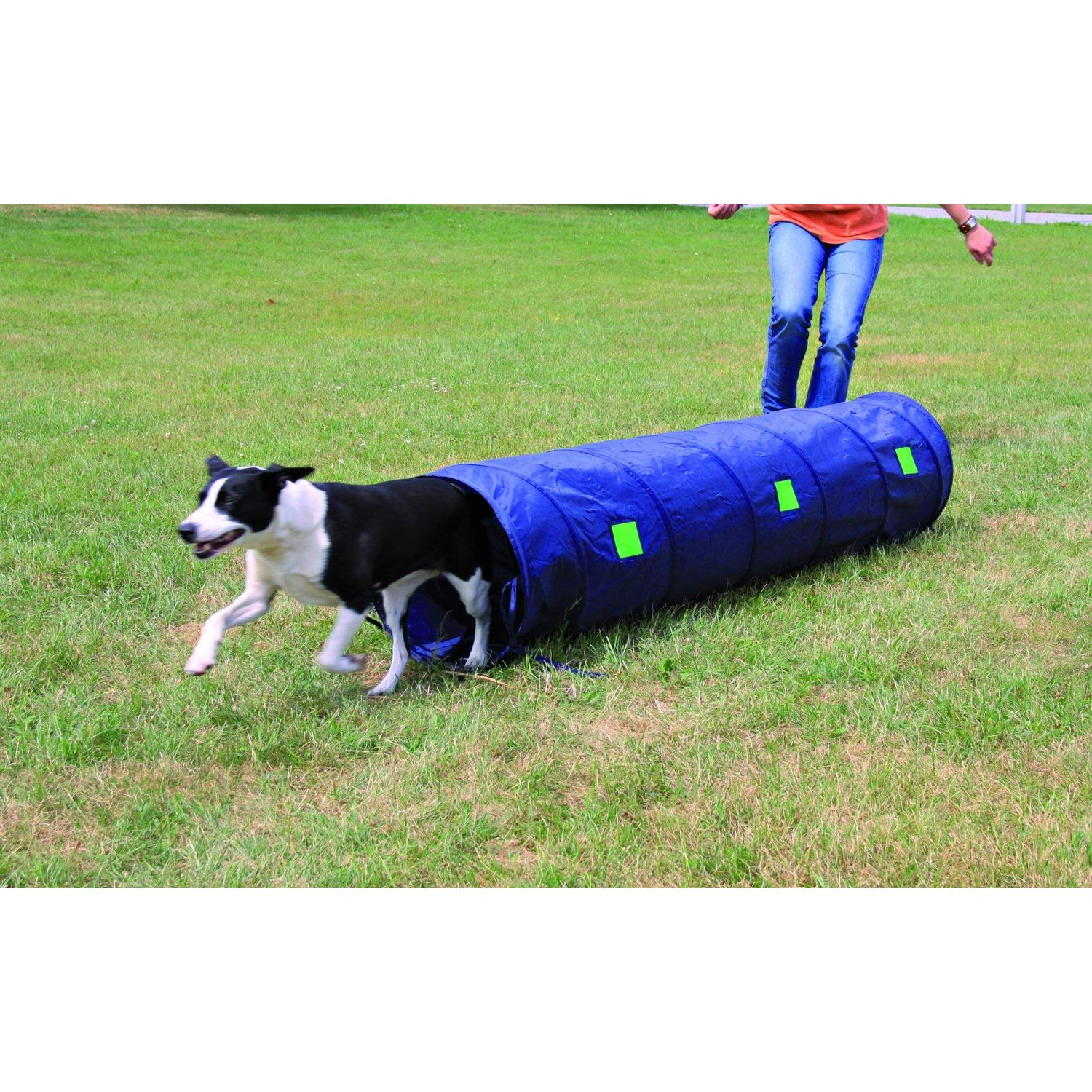 TRIXIE Dog Agility Tunnel 6.5 FT, Portable Dog Training Tunnel, Obedience, Exercise Equipment