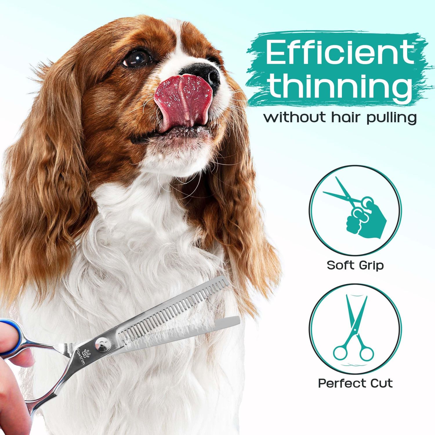 Pawtrim Professional Pet Grooming Kit – 6 in 1 Dog Grooming Scissor Kit - Dog & Cat Grooming Supplies - Adjustable Screw Scissors, 4CR Stainless Steel Dog Clippers, Hair Thinning Shears, Rubber Grips…