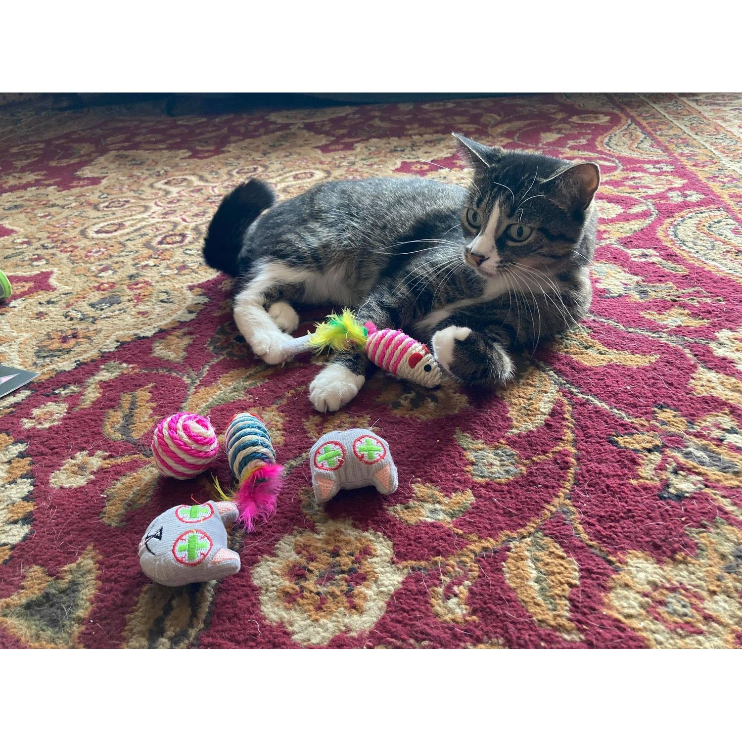 Smokey's Stash Catnip Filled Cat Toys with Sisal Mouse and Ball