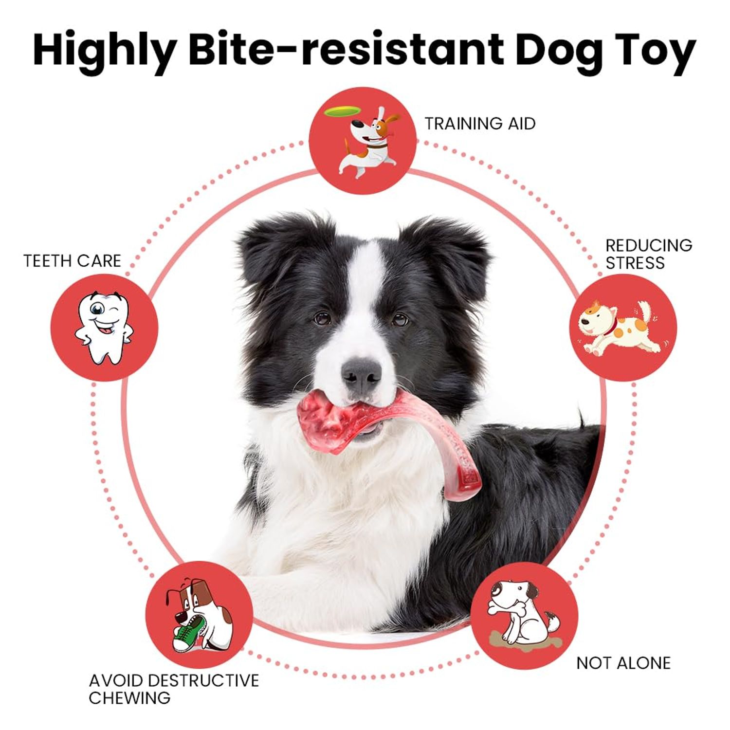 LILEEE Dog Chew Toys for Aggressive Chewers, Indestructible Dog Toy for Small Breed, Dog Nylon Toys for Medium Sized Dogs to Keep Their Teeth Shiny