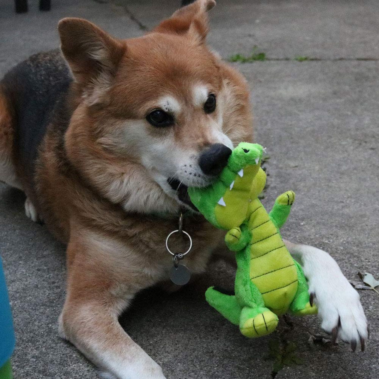 SmartPetLove Snuggle Puppy Tender-Tuffs Easy Grab - Plush Dog Toys - Standing Stuffed Green Crocodile with Tough Puncture Resistant Squeaker