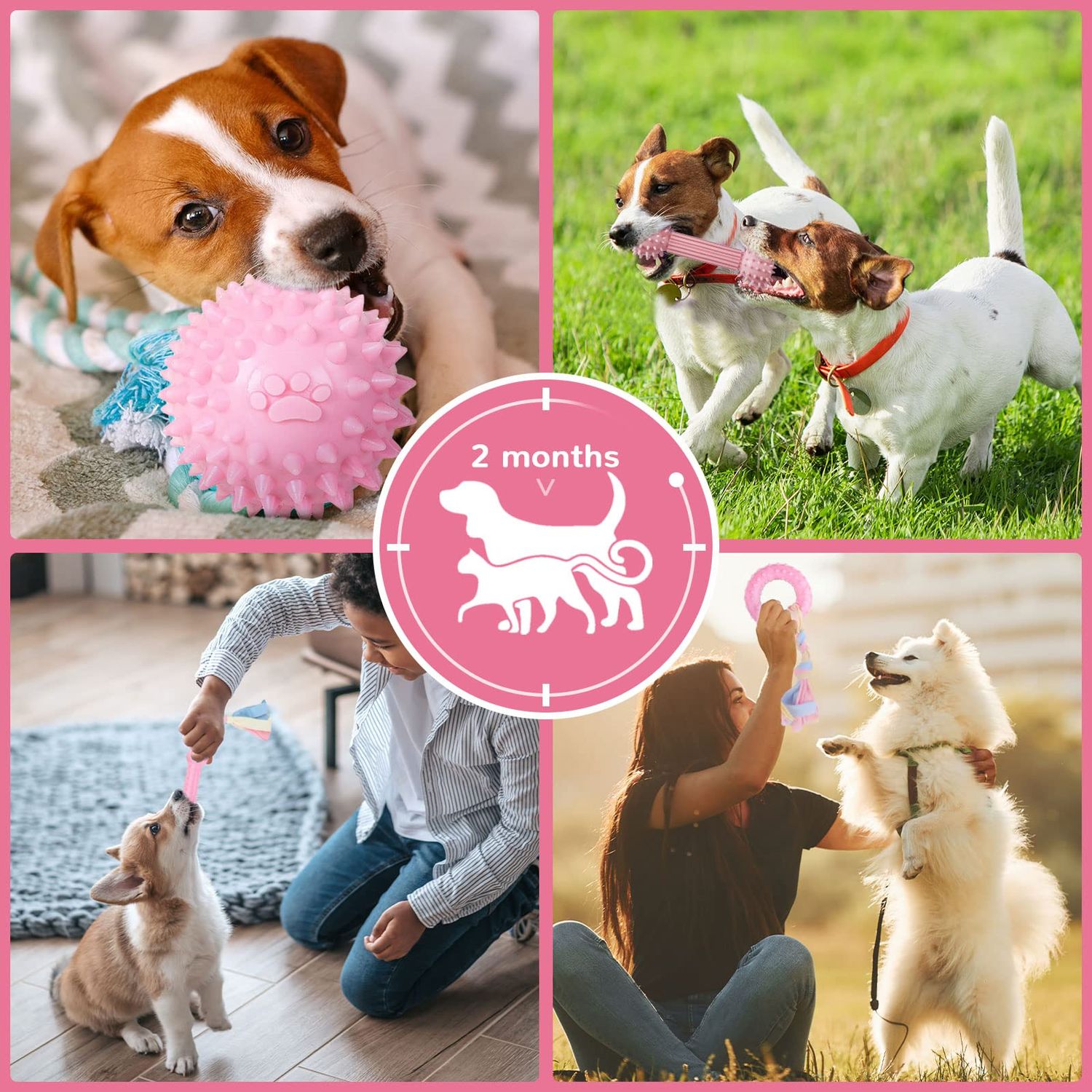 TENGZHI 6 Pack Dog Toys for Small Dog Pink Soft Rubber Puppy Toys for Teething Funny Slippers Ball Donut Interactive Set for Small Dog Teething Toys Pet Puppy Toys Set