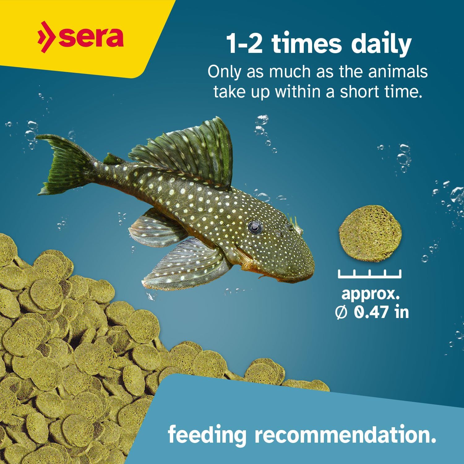 sera Catfish Chips Nature 13.4 oz./0.84lbs | Premium Fish Food for Ancistrus & Plecos | High Fiber | No Dyes & Preservatives | Supports Digestion & Promotes Healthy Growth | Ideal for Bottom Feeders