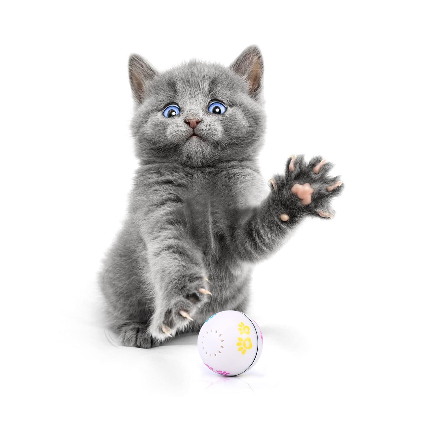 Interactive Cat Toys, Smart Rolling Dog Toys, Self Rotating Exercise Ball for Puppy Kitty, USB Recharge with LED Light, Cat Dog Catnip for Pet Supplies, Pack of 1