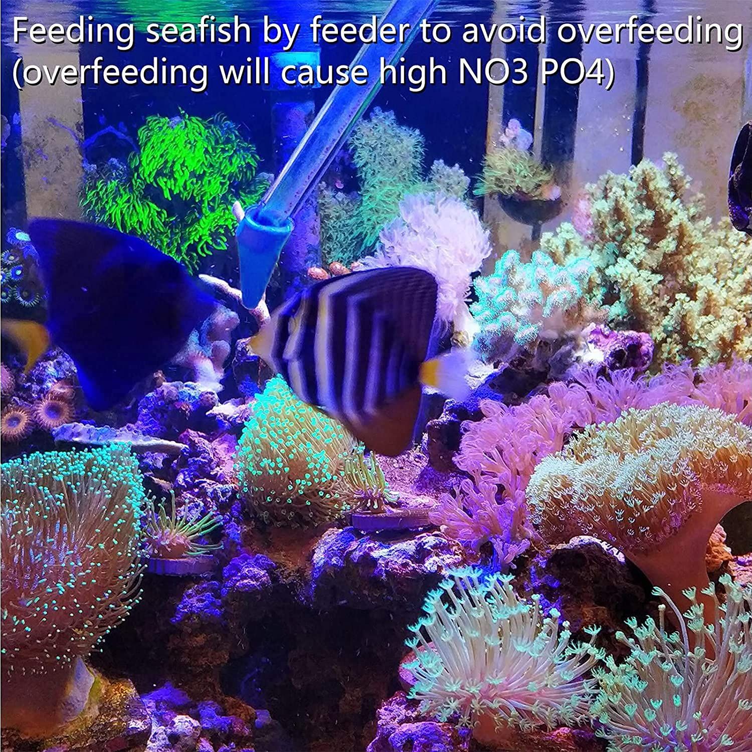 Aquarium Choice Coral Feeder Long Syringe Reef Feeder SPS HPS Marine Reef Coral Feeder Tool Fish Excreta Cleaner (2 Units Coral Feeder and 2 Units Tweezers)
