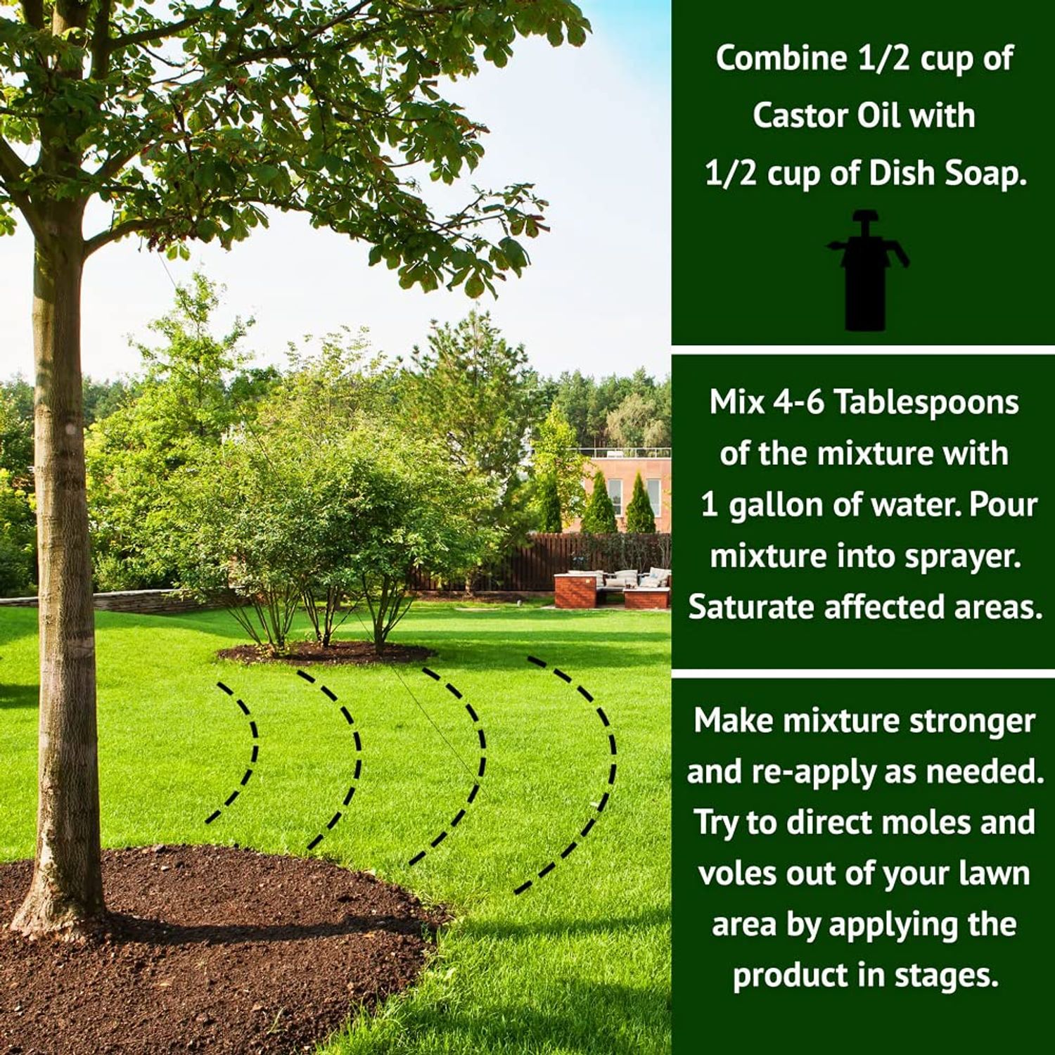 Nature’s Mace Mole and Vole MACE, 5 Gallon Castor Oil Concentrate, Outdoor Lawn & Garden Mole Control, Mole Remover, Vole Repellent Outdoor, Castor Oil for Moles, Stop Tunneling, Pet & Plant Safe