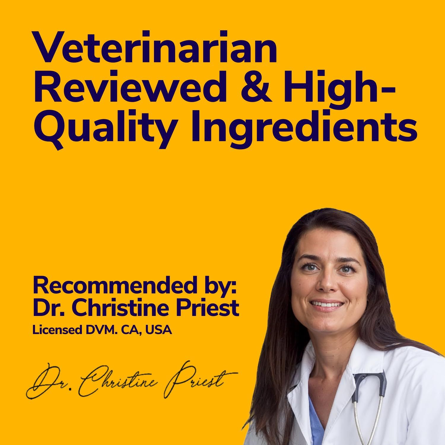 Miracle Vet Medicated Dog Shampoo for Itchy Skin Relief - Yeast Infection Treatment for Dogs & Dog Allergy Relief Hot Spot Treatment - Hydrocortisone Antifungal Shampoo (16 oz)