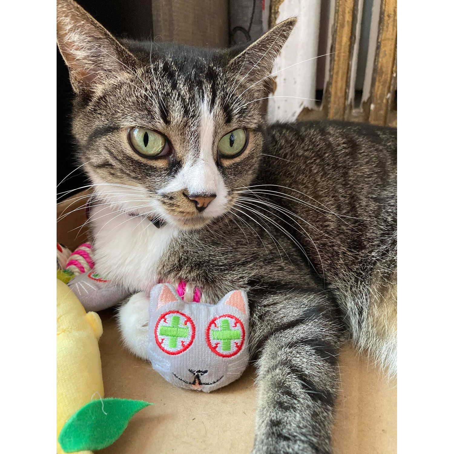 Smokey's Stash Catnip Filled Cat Toys with Sisal Mouse and Ball