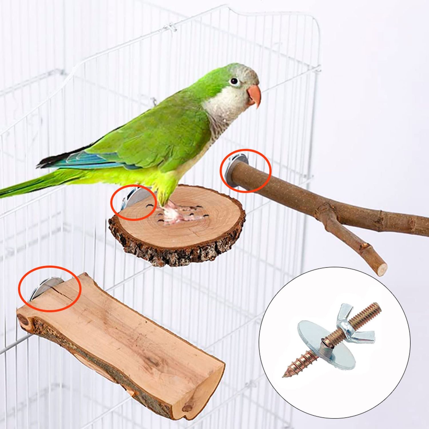 12 Sets Bird Cage Screws Bird Perch Stand Platform Accessories 24 Washers 12 Screws 12 Wing Nuts Hardware for Fixing Bird Playground Perch Food Bowls Feeder Breeding Box
