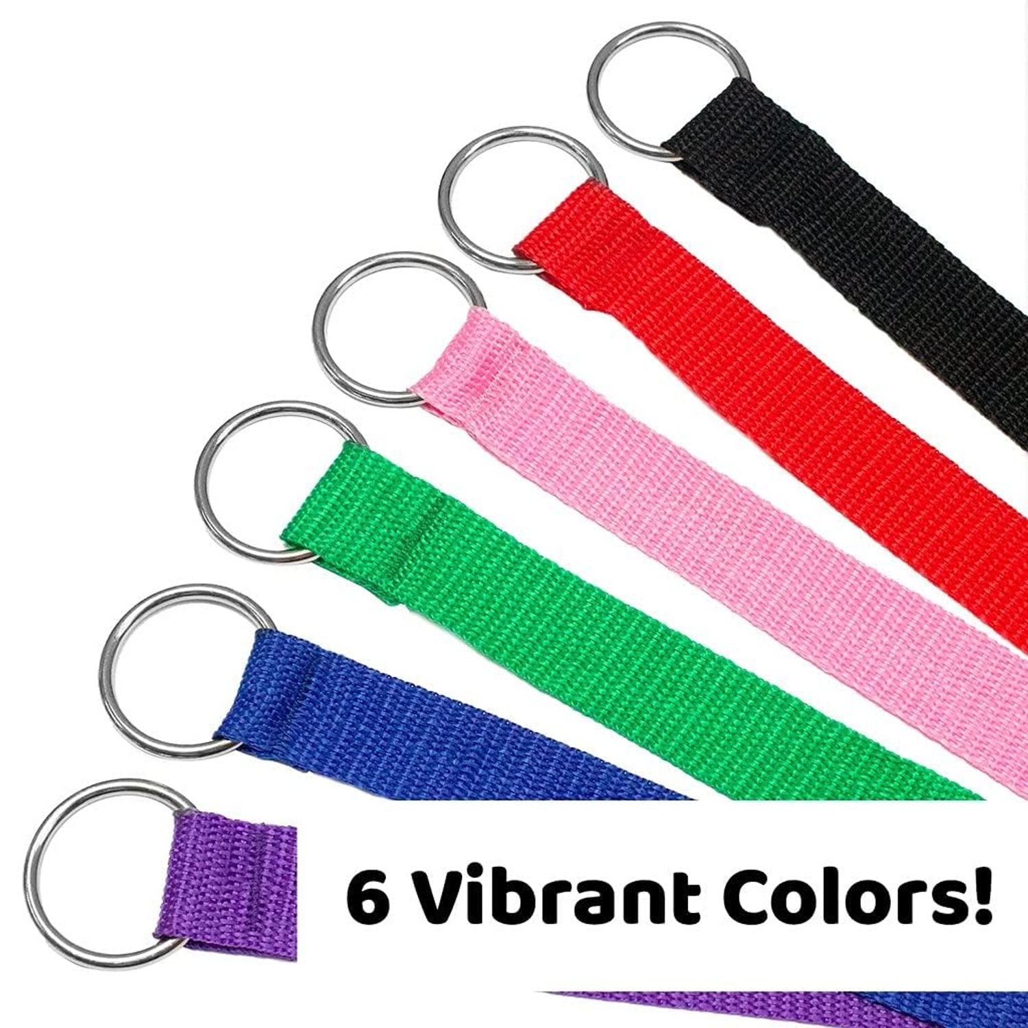 Downtown Pet Supply Slip Lead Dog Leash 24 Pack, 4' x 1/2" - Universal Dog Slip Leash with Metal O Ring - Machine Washable Dog Slip Lead for Groomers, Shelters, Rescues, Vets, or Doggy Daycares