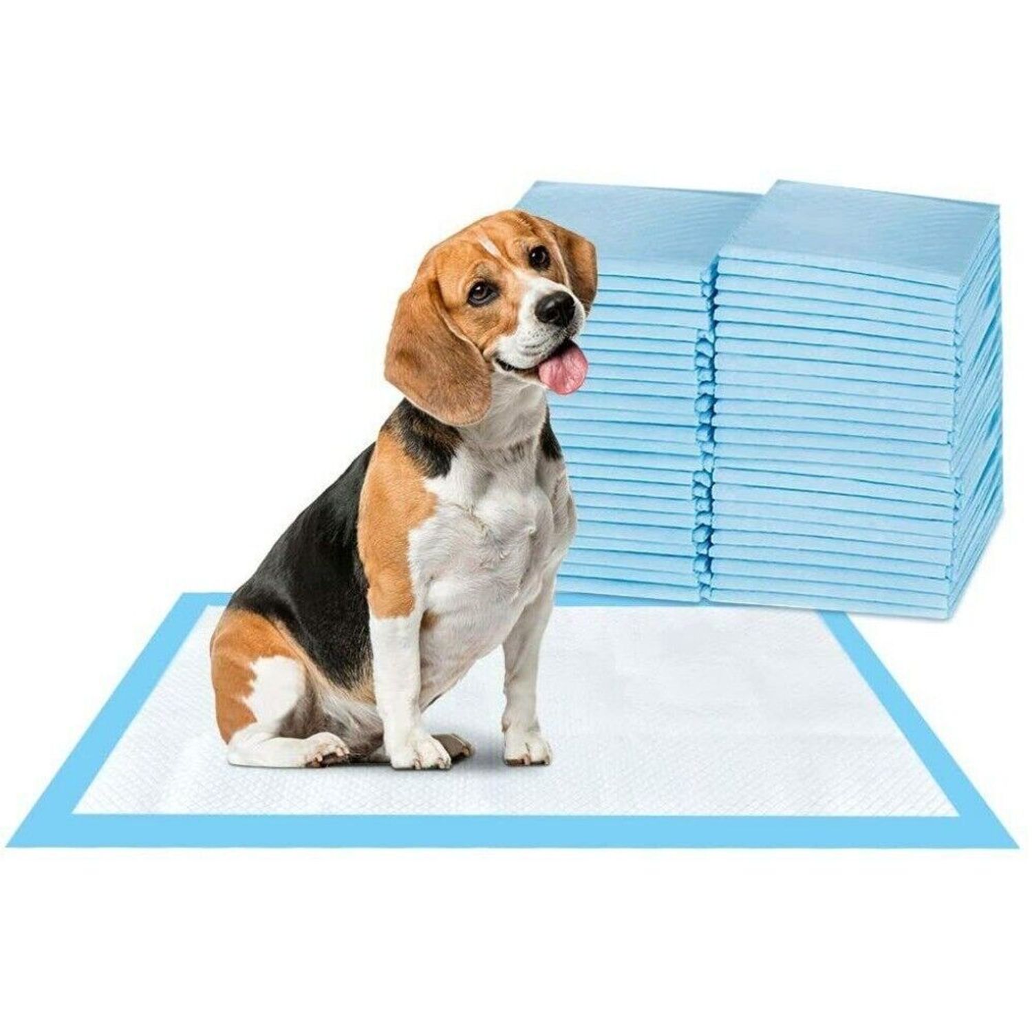 20X Super-Absorbent Waterproof Dog Puppy Pet Training Pad Housebreaking Pet Pad