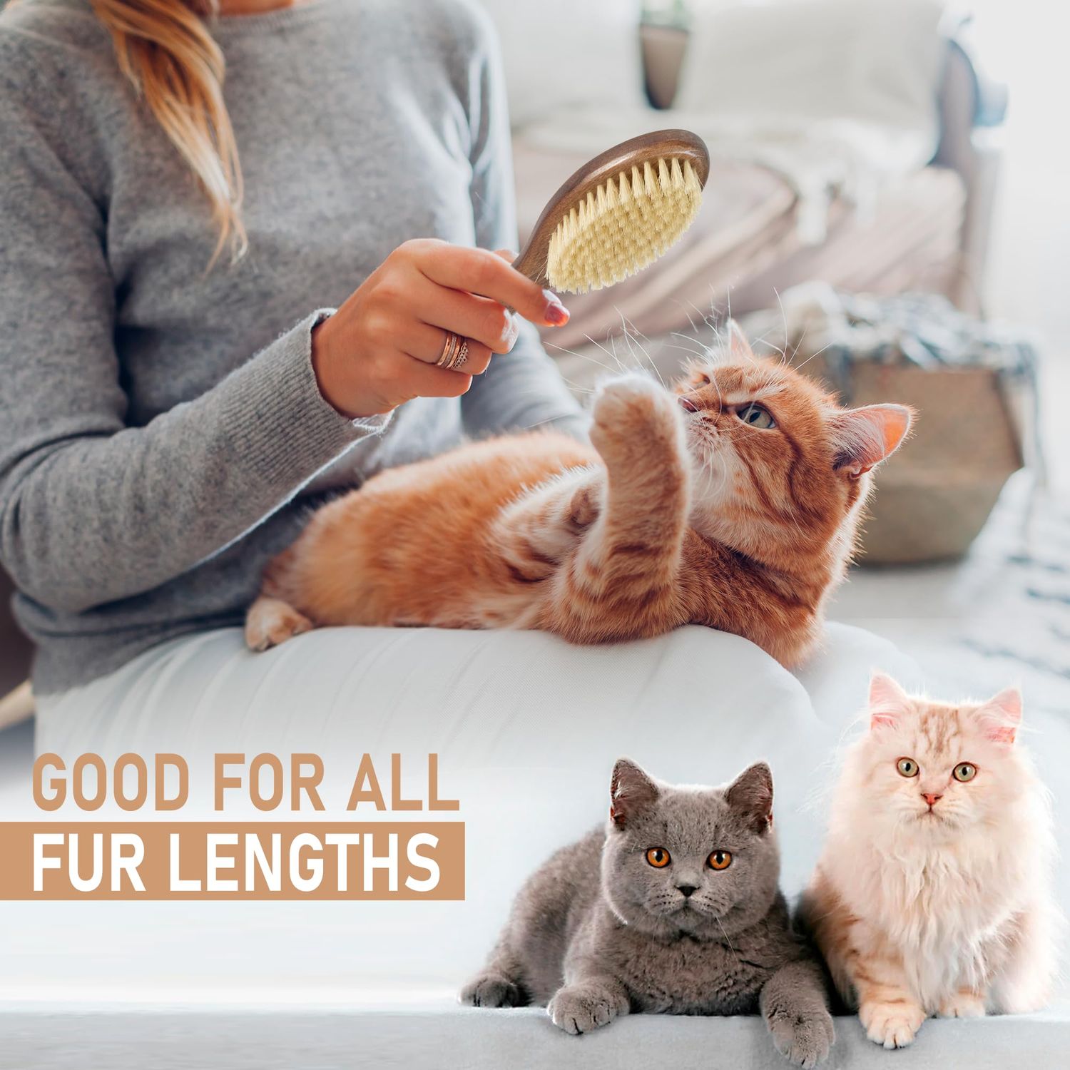 Takavu Boar Bristle Cat Hair Brush, Pet Grooming Brush with Natural White Bristles and Wooden Handle for Sensitive Skin, Pet Cleaning Supplies Keeping Your Cat's Fur Hair Coat Healthy and Shiny